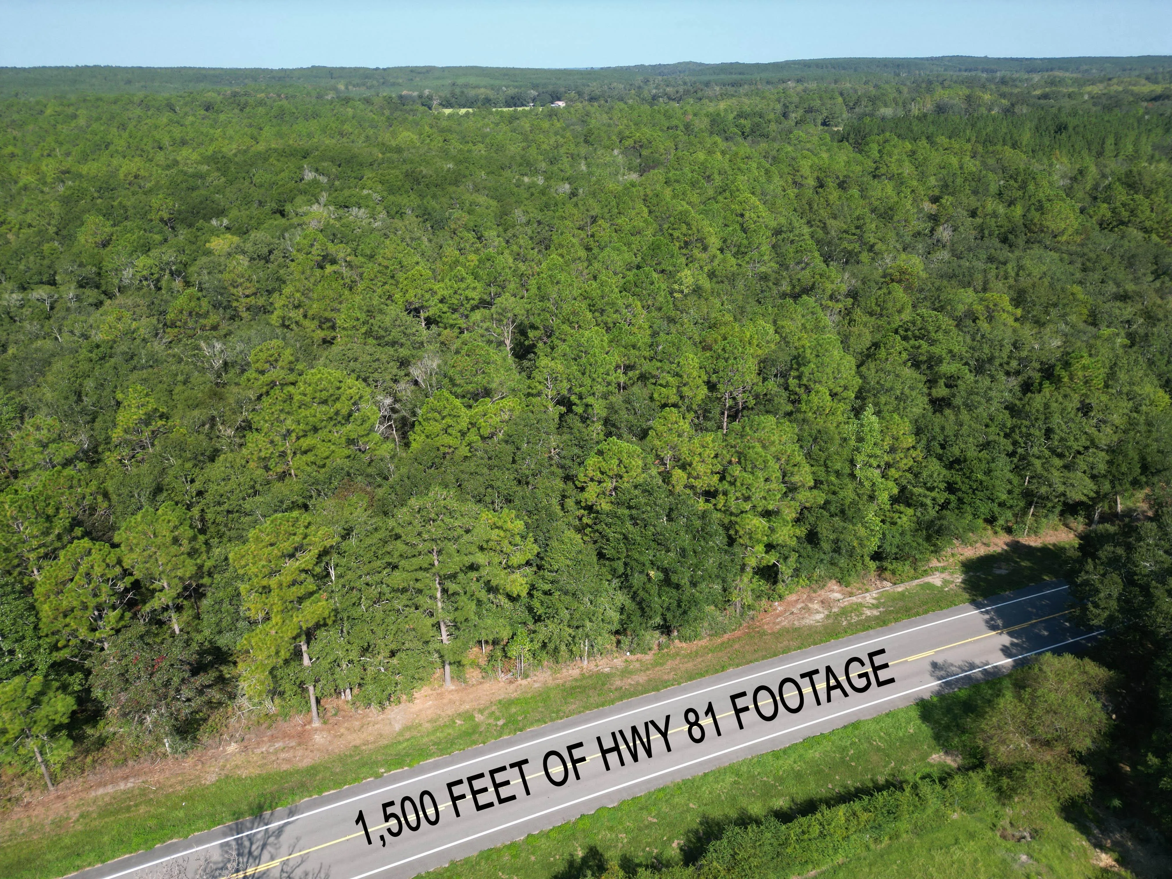 Florida Land for Sale between 51 and 100 Acres 431 Listings LandWatch