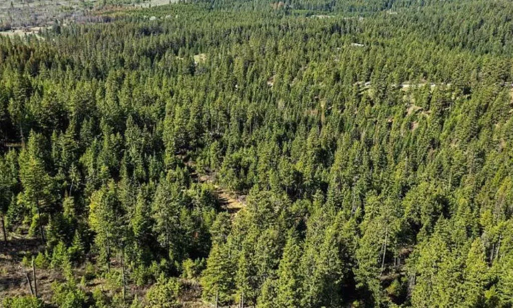 Idaho Land for Sale up to 50K 75 Listings LandWatch