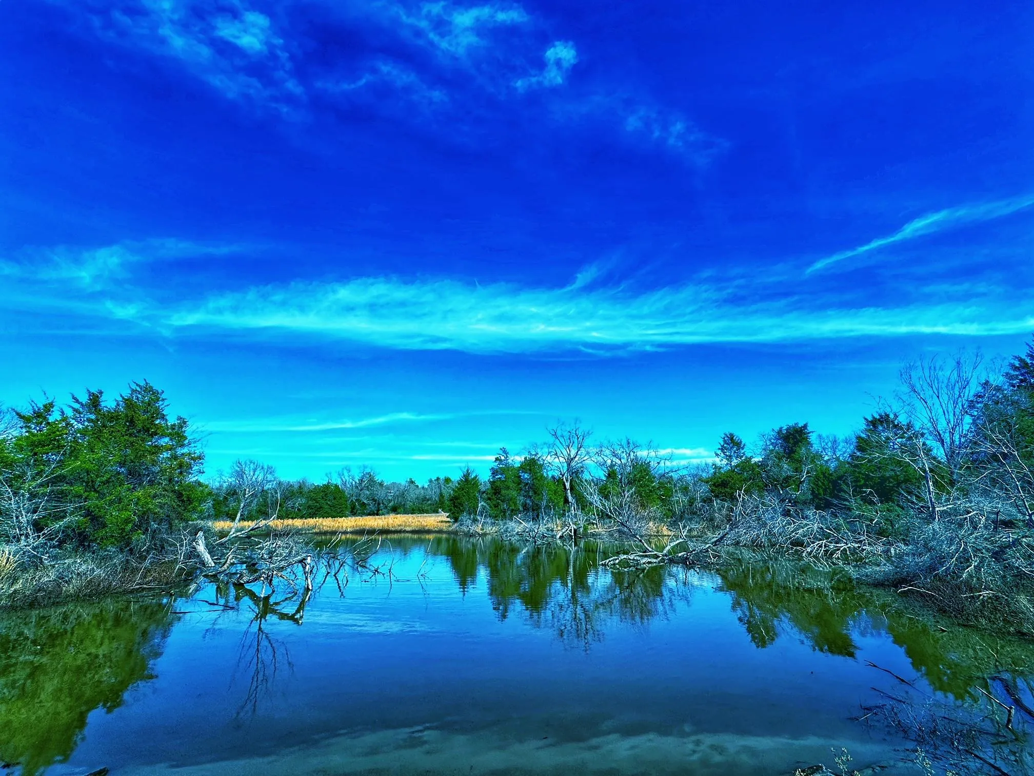 Leon County, TX Land for Sale 217 Listings LandWatch