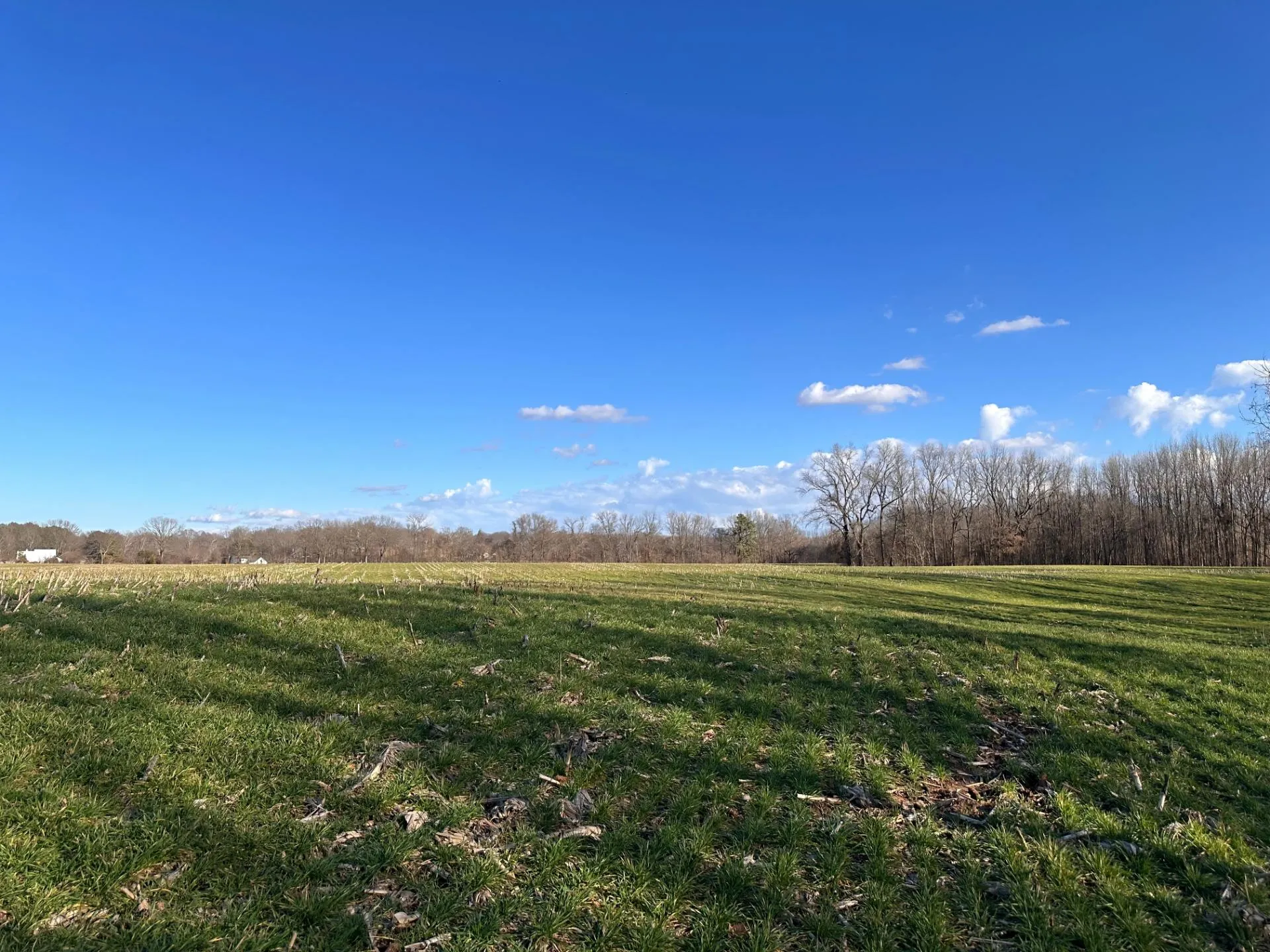 Tennessee Hunting Land for Sale 417 Listings LandWatch