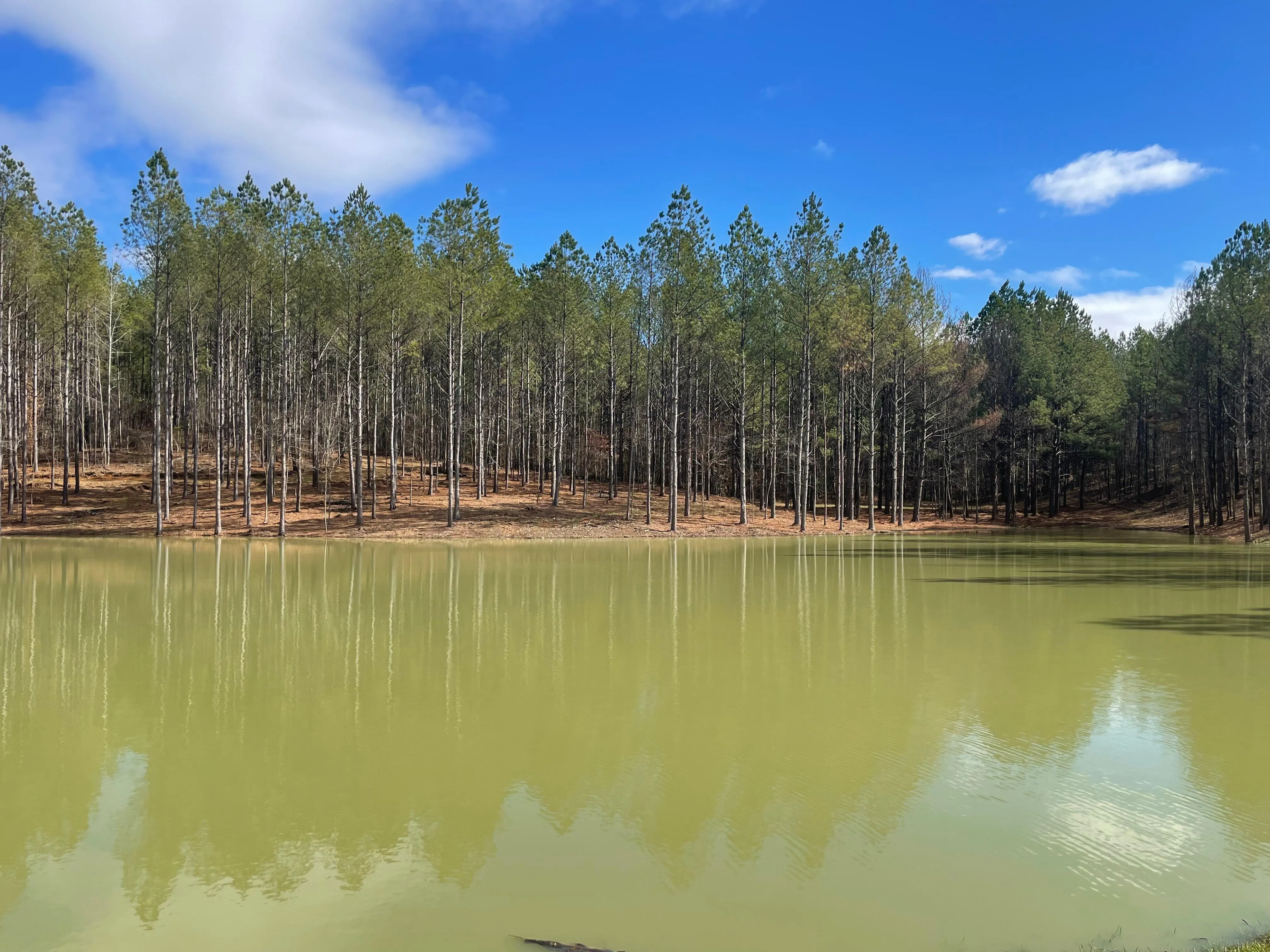 Shelby County, AL Land for Sale 610 Listings LandWatch