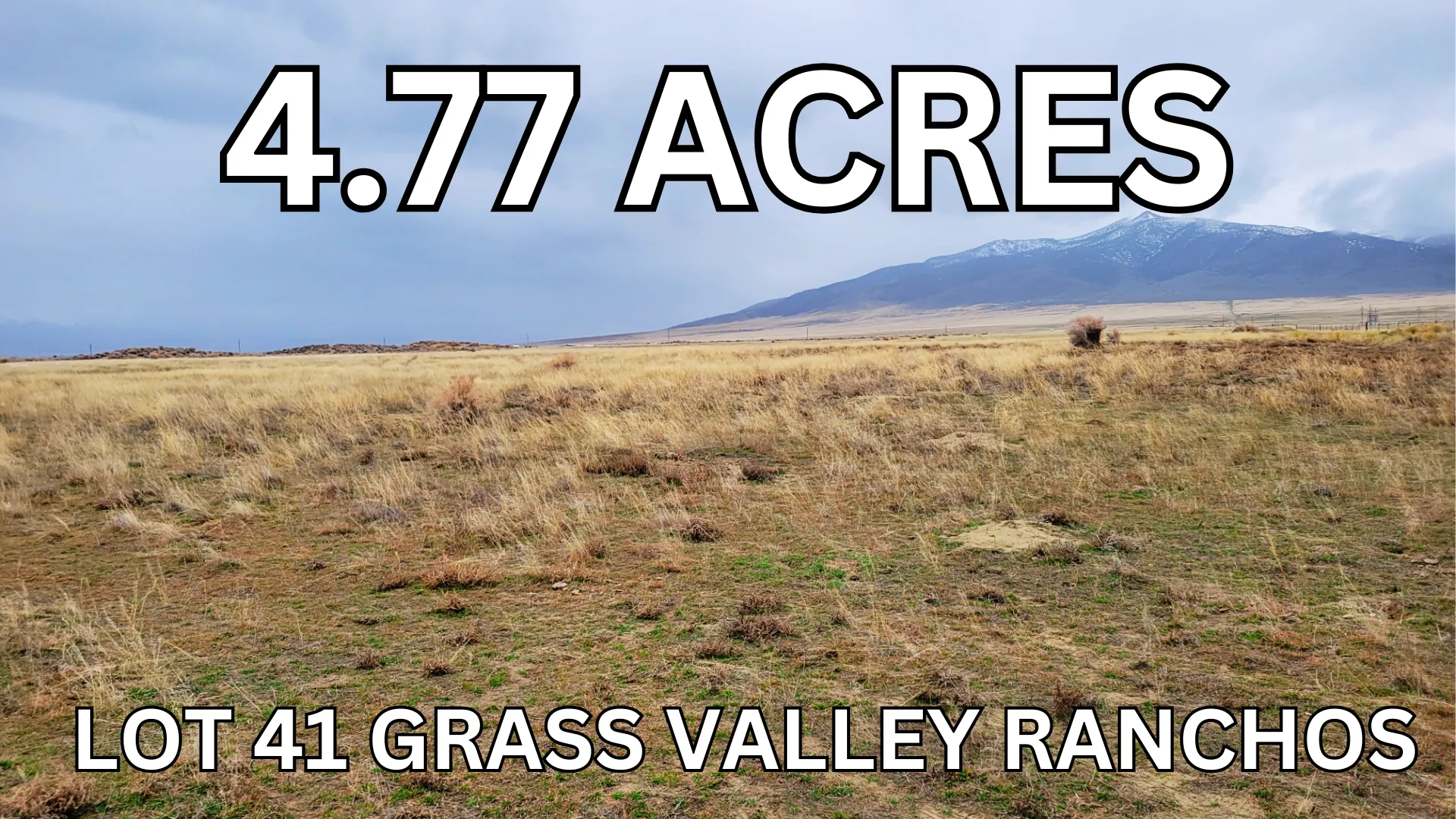 Page 8 Owner Financing Land for Sale 12,839 Listings LandWatch