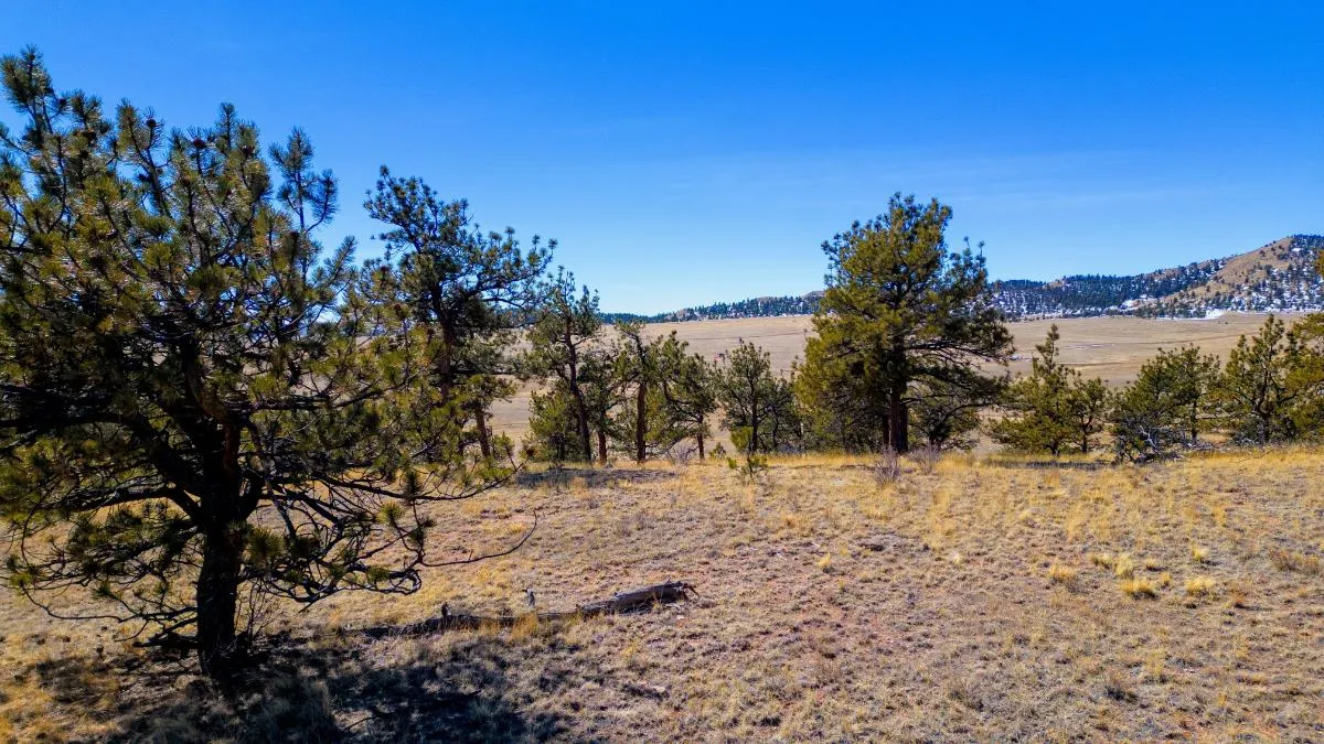 Page 2 Colorado Owner Financing Land for Sale 435 Listings LandWatch
