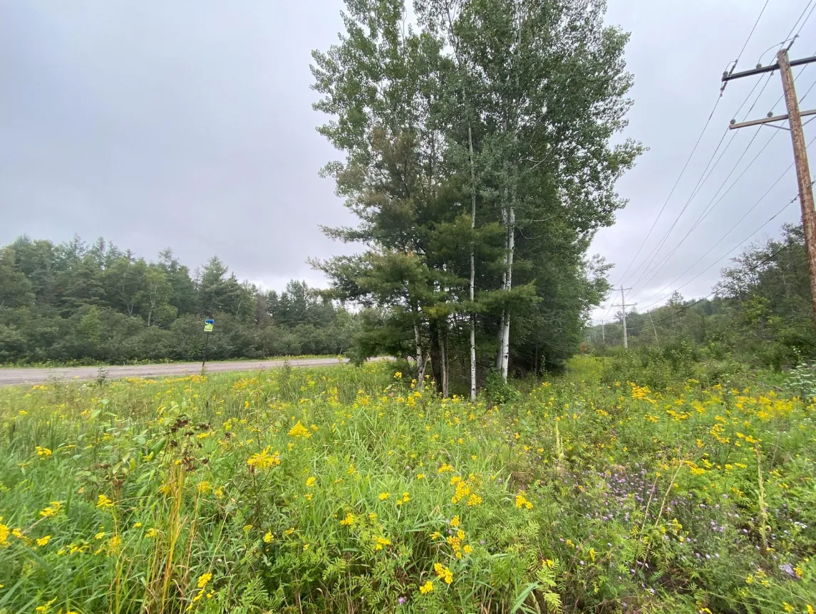 Upper Peninsula Region, MI Land for Sale up to 50K 258 Listings
