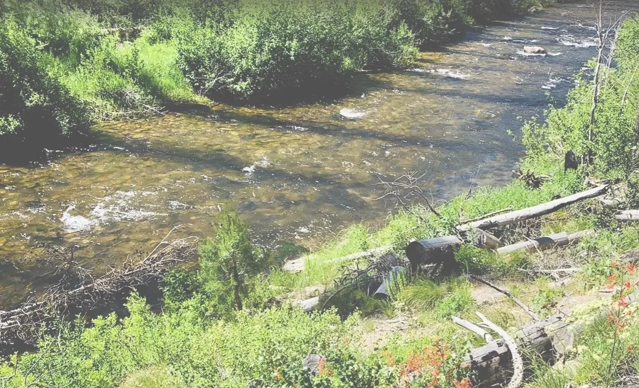 Idaho Land for Sale between 11 and 50 Acres 679 Listings LandWatch