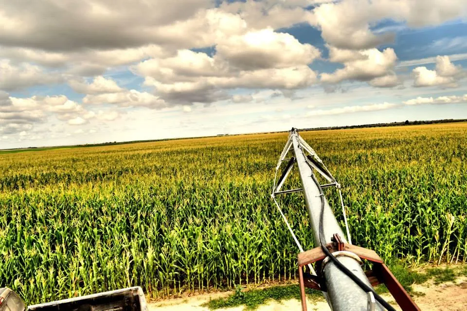 Box Butte County, NE Land for Sale 5 Listings LandWatch