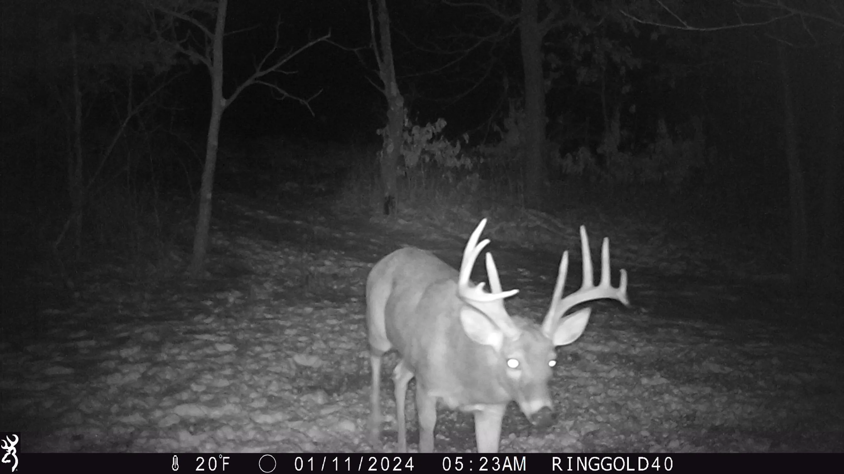 Ringgold County, IA Land for Sale 54 Listings LandWatch