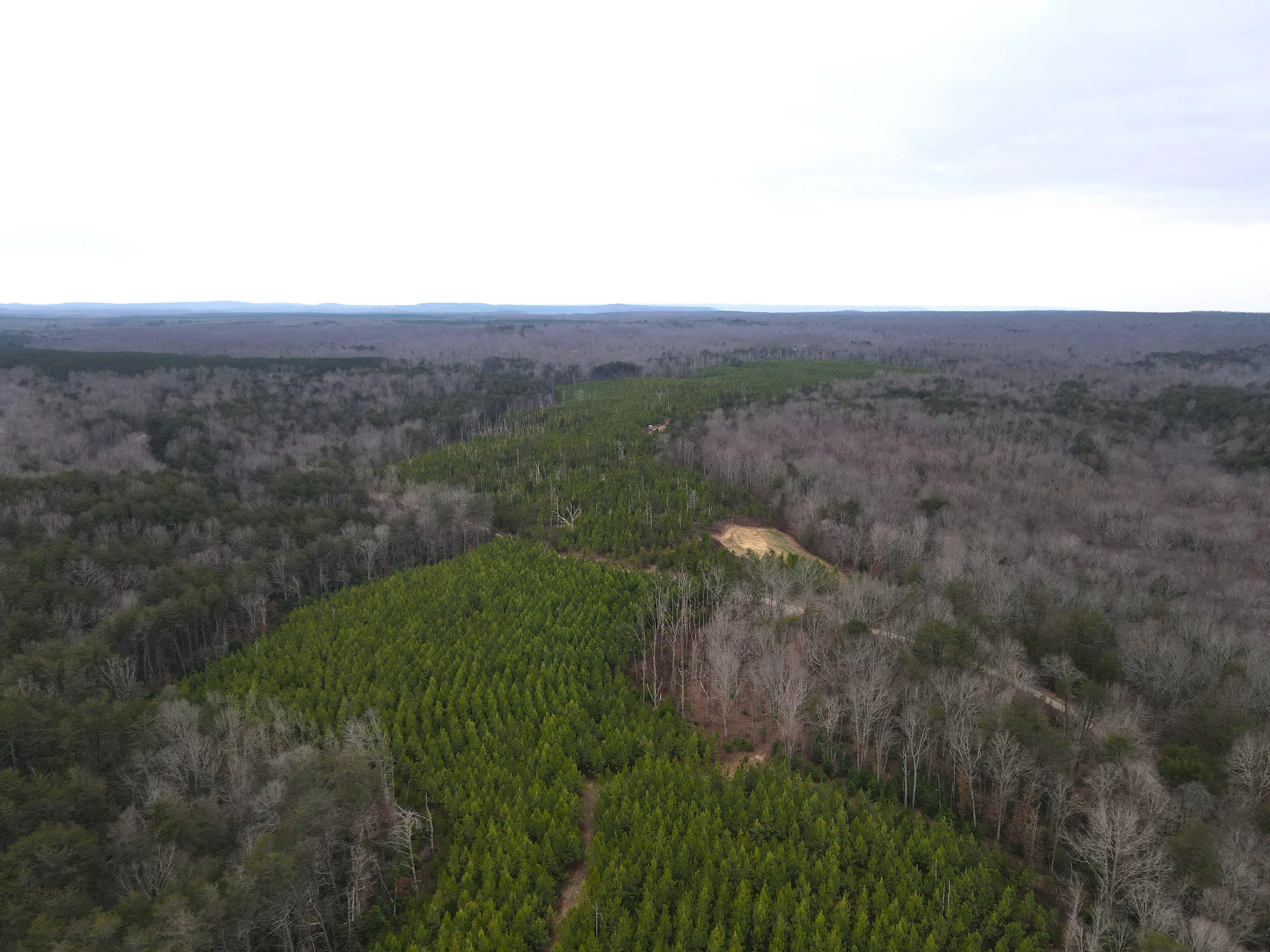 Grundy County, TN Land for Sale 51 Listings LandWatch