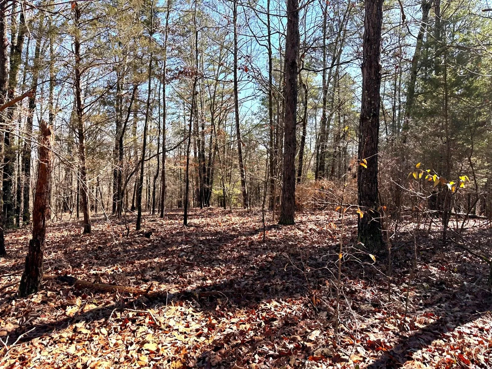 West Region, TN Owner Financing Land for Sale 48 Listings LandWatch