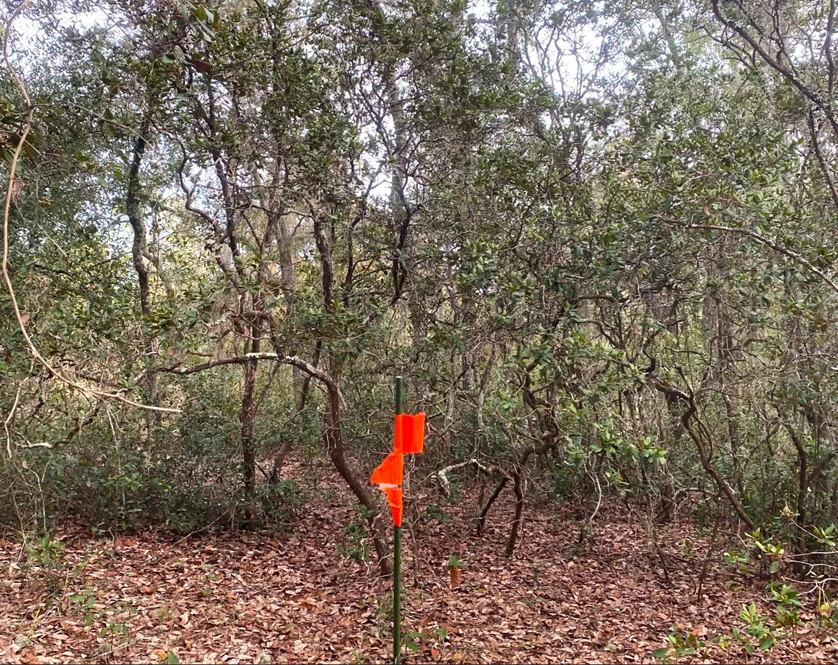 Florida Owner Financing Land for Sale 1,851 Listings LandWatch