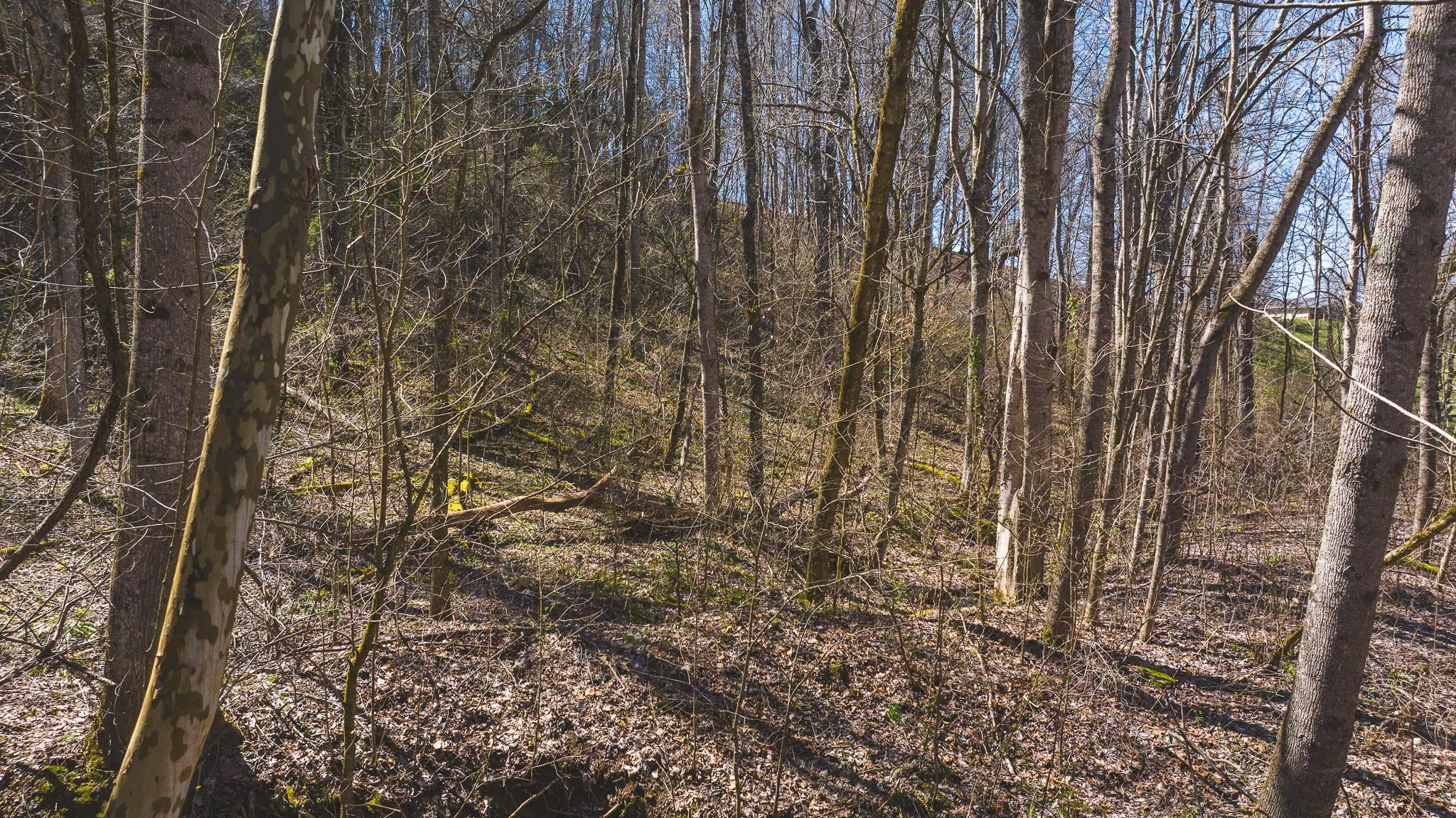 Eastern Region, TN Recreational Land for Sale 128 Listings LandWatch