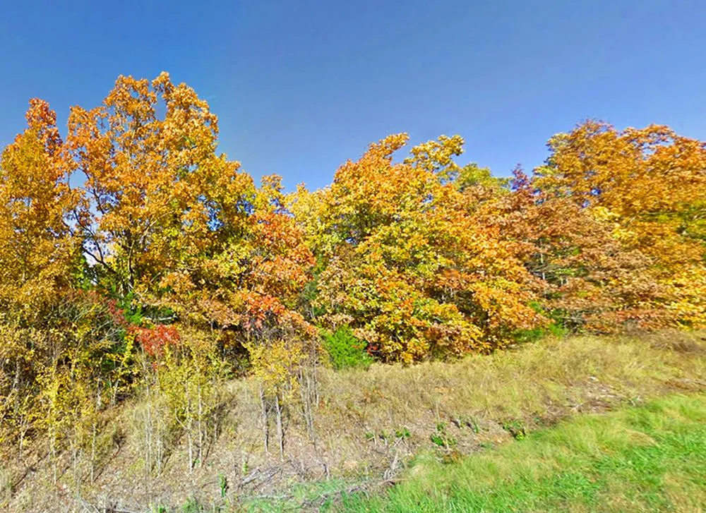 Arkansas Owner Financing Land for Sale 569 Listings LandWatch