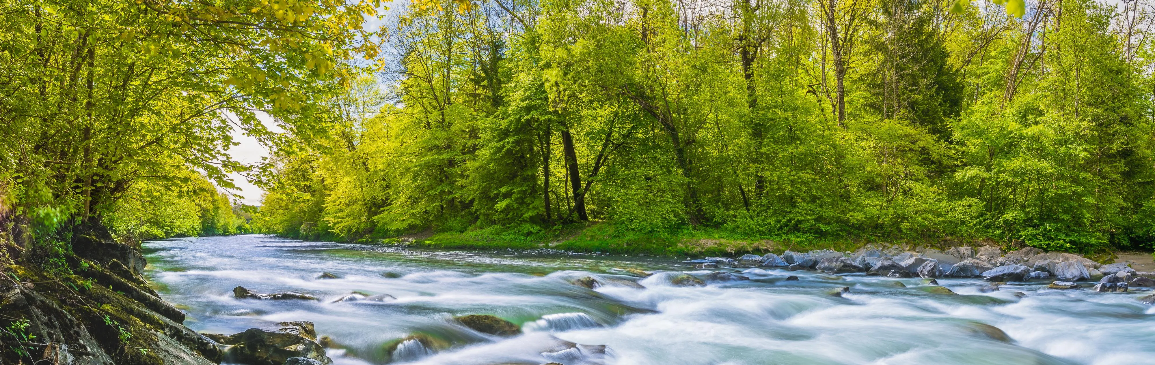 Eastern Region, TN Land for Sale up to 50K 1,237 Listings LandWatch