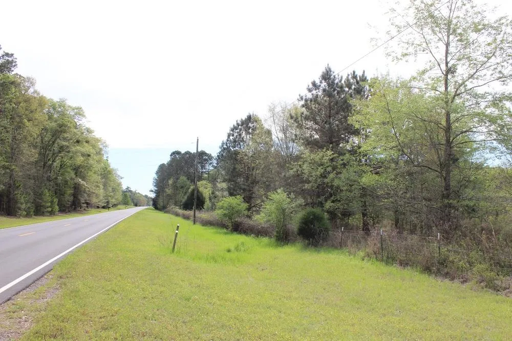 Elko, GA Land for Sale 42 Listings LandWatch