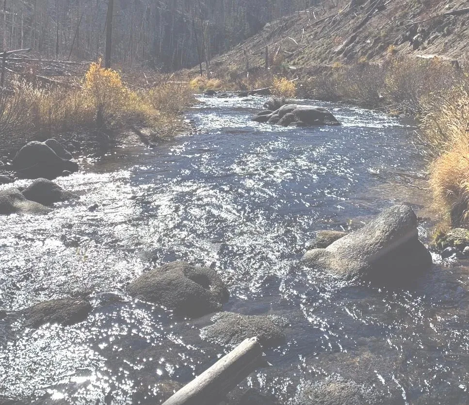 Idaho Land for Sale up to 50K 73 Listings LandWatch