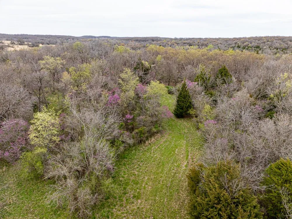 Mayes County, OK Land for Sale 234 Listings LandWatch