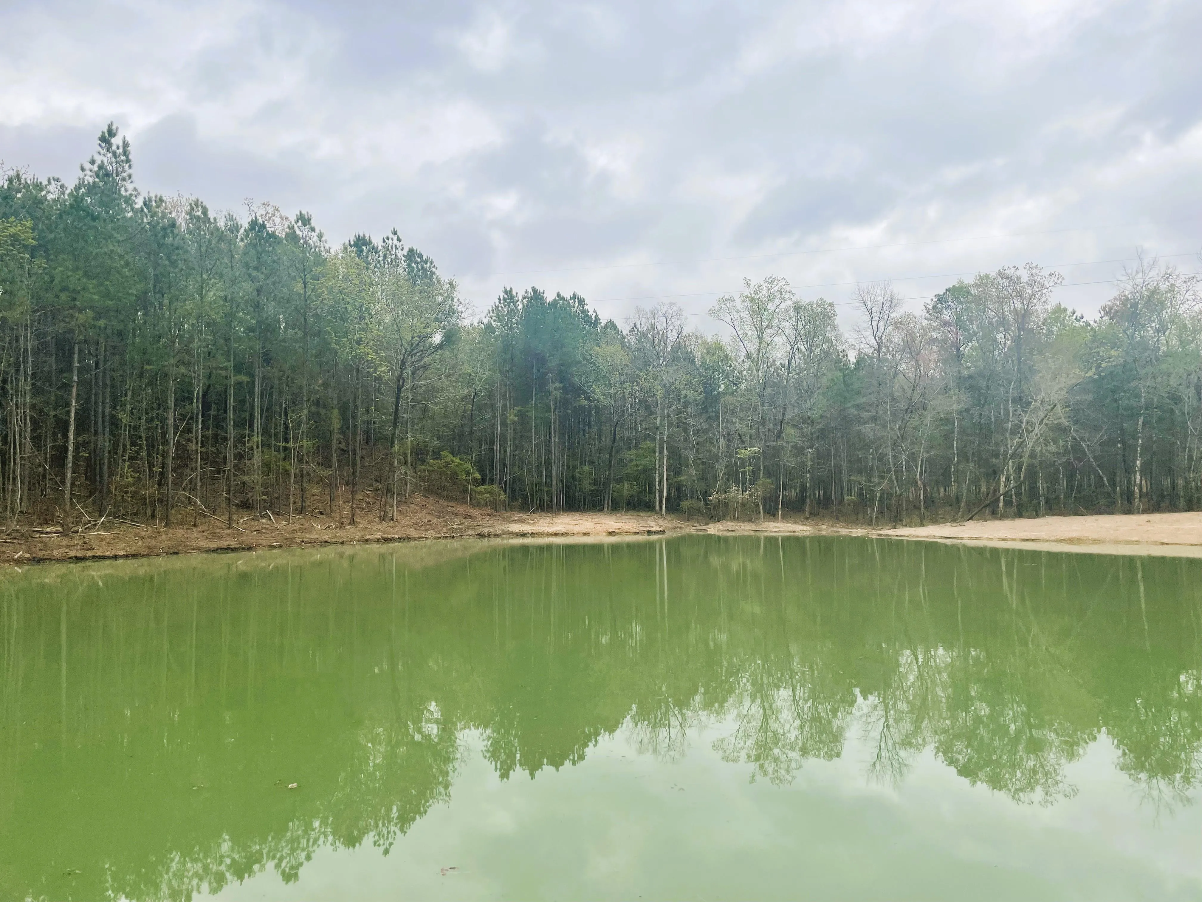 Shelby County, AL Land for Sale 580 Listings LandWatch