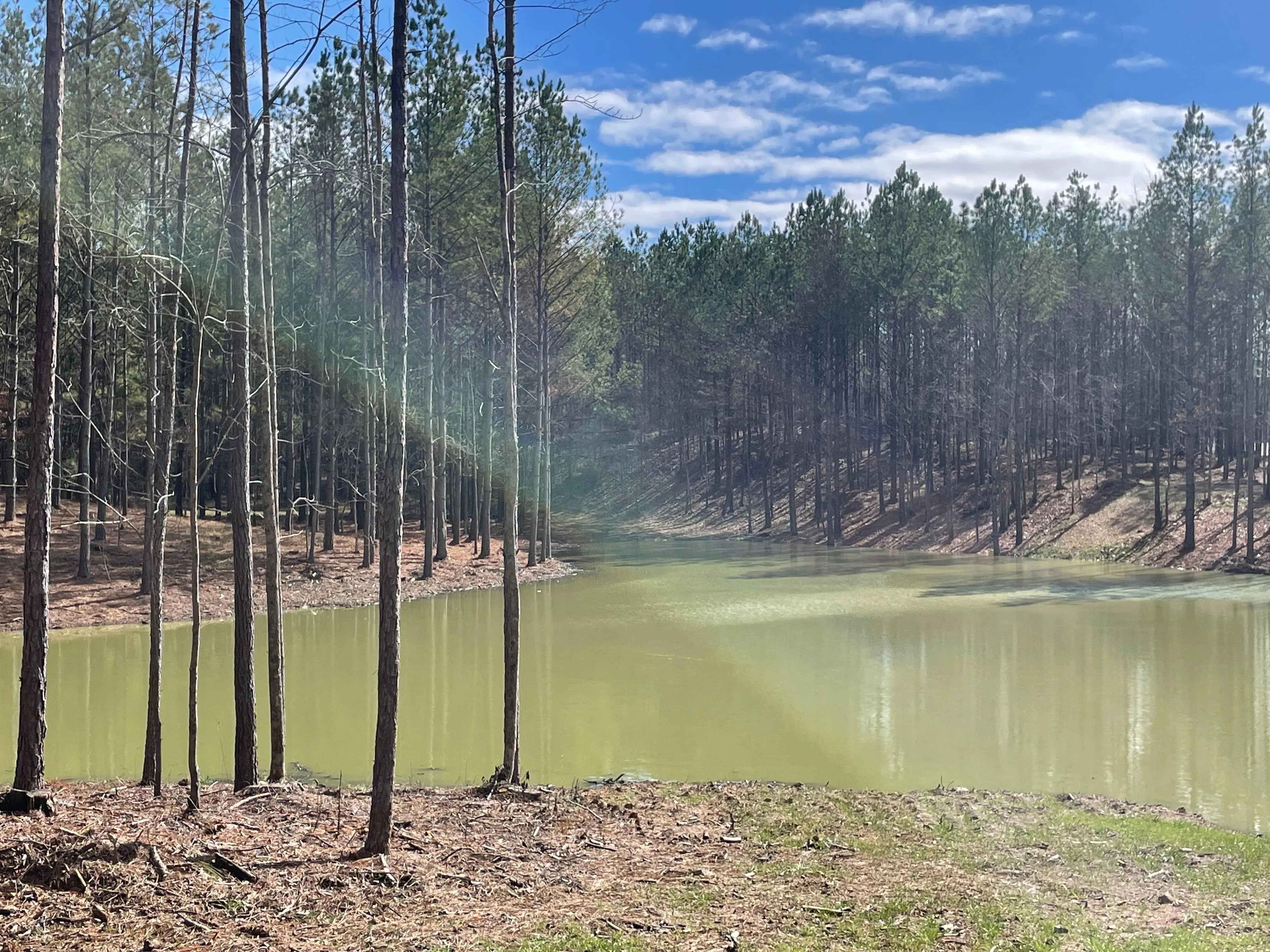 Shelby County, AL Land for Sale 584 Listings LandWatch