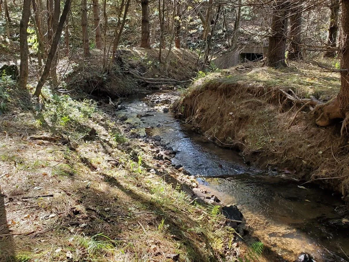 Owner Financing Land for Sale up to 50K 5,439 Listings LandWatch