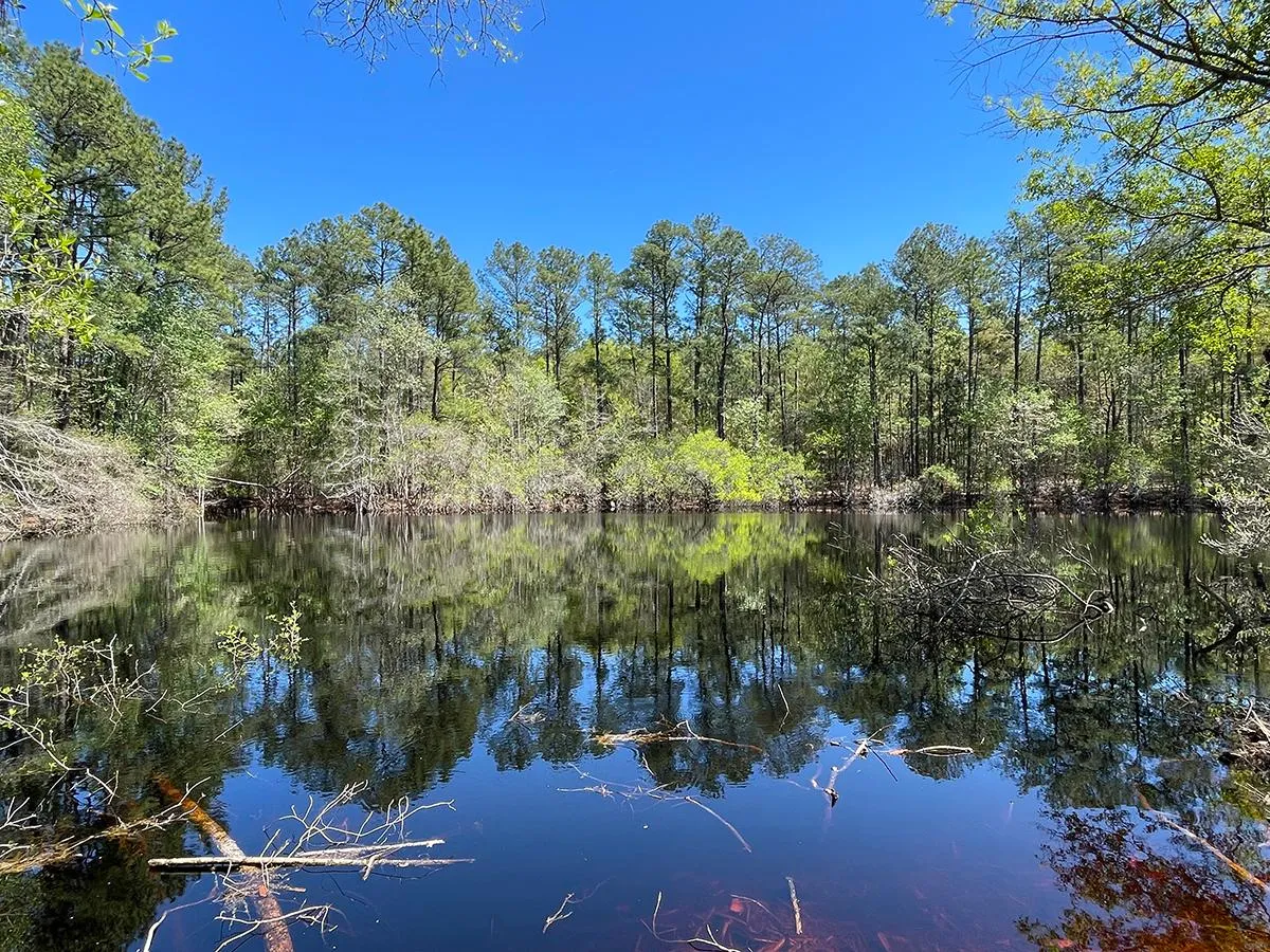 Metter, GA Land for Sale 20 Listings LandWatch