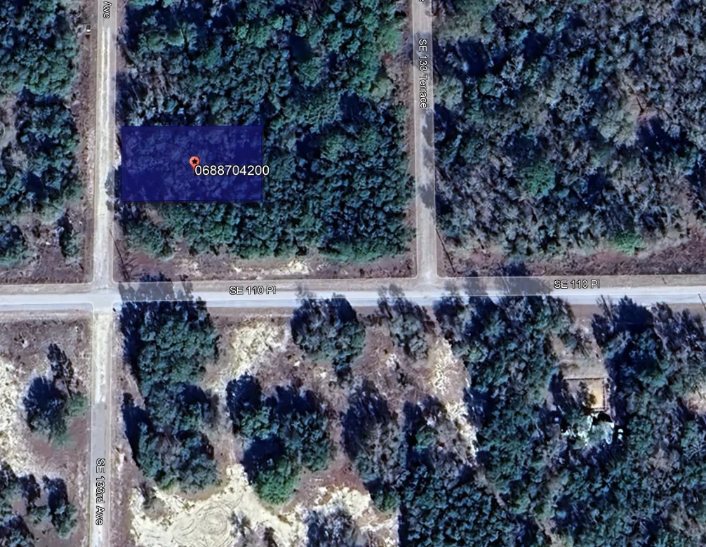 Levy County, FL Land for Sale 672 Listings LandWatch