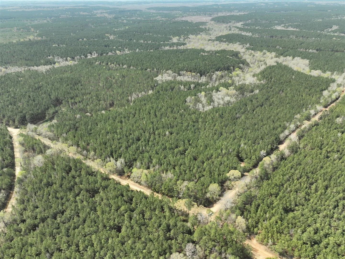 Union Parish, LA Land for Sale 45 Listings LandWatch