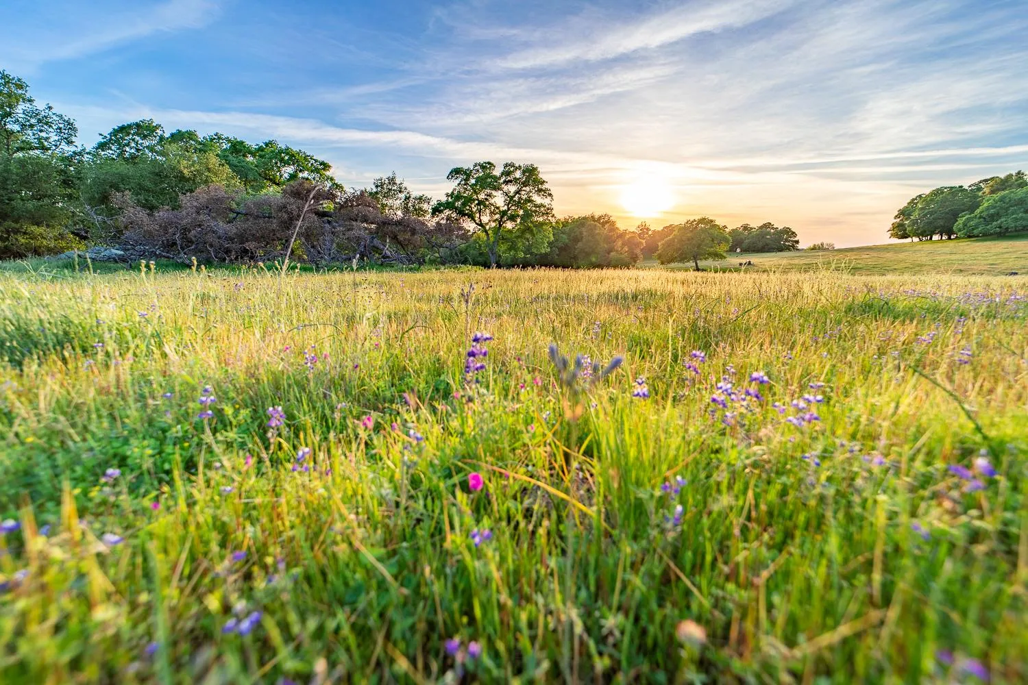 California Waterfront Properties for Sale with Owner Financing 10