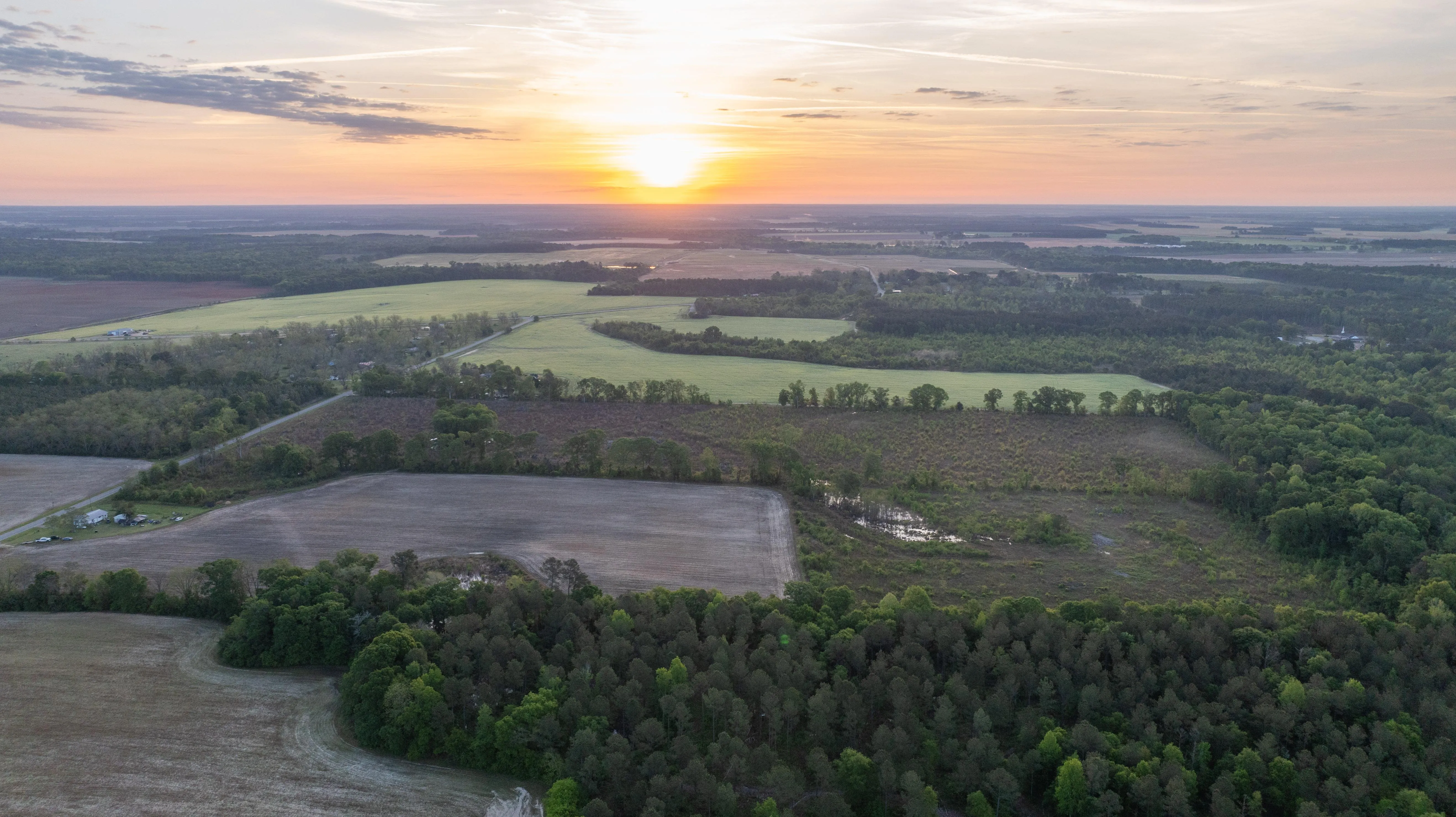 Pulaski County, GA Land for Sale 49 Listings LandWatch