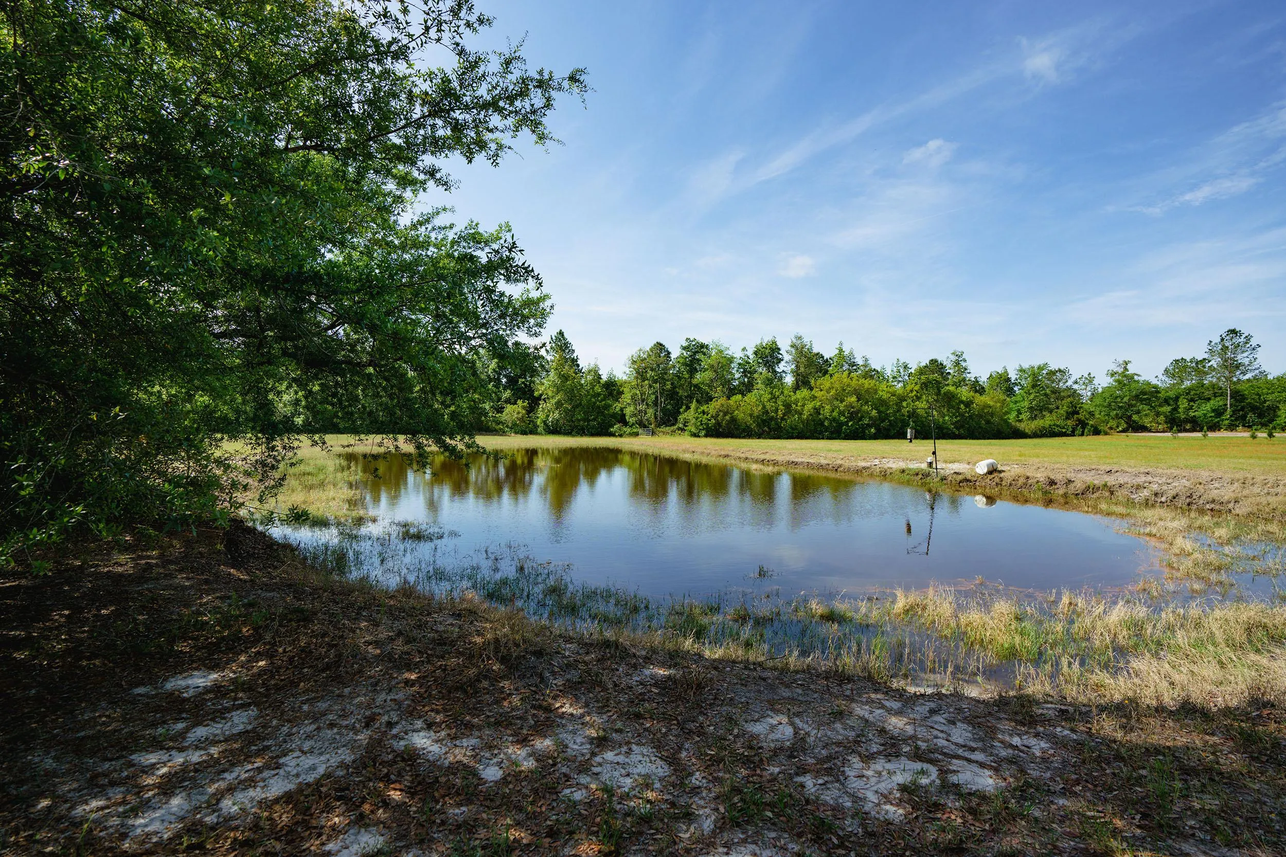 Wayne County, GA Land for Sale 78 Listings LandWatch