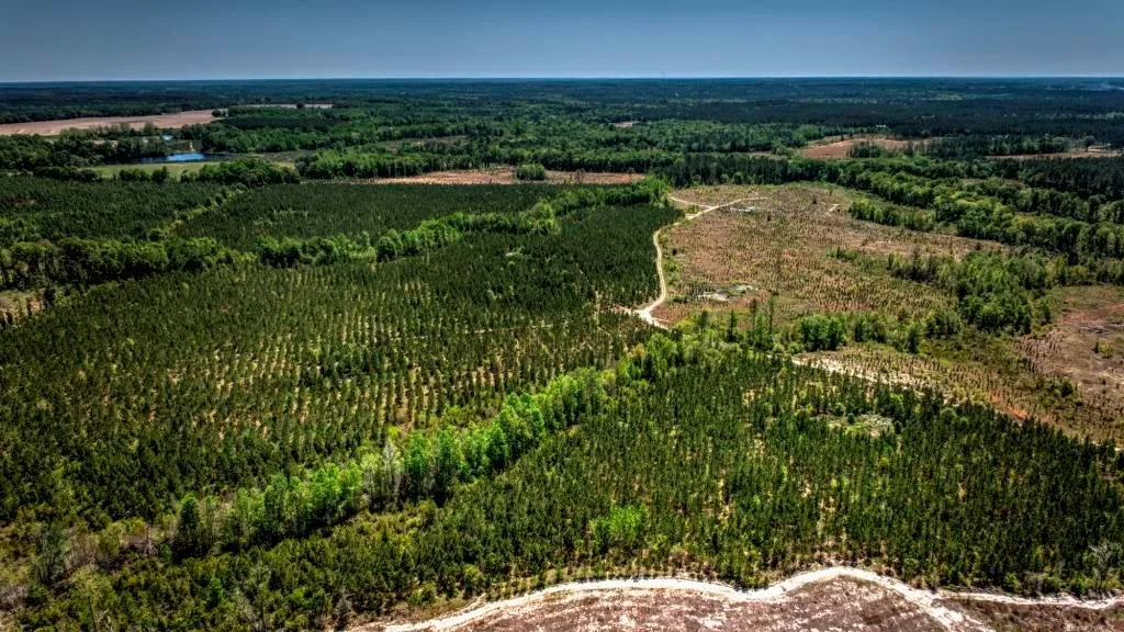 Wheeler County, GA Land for Sale 15 Listings LandWatch