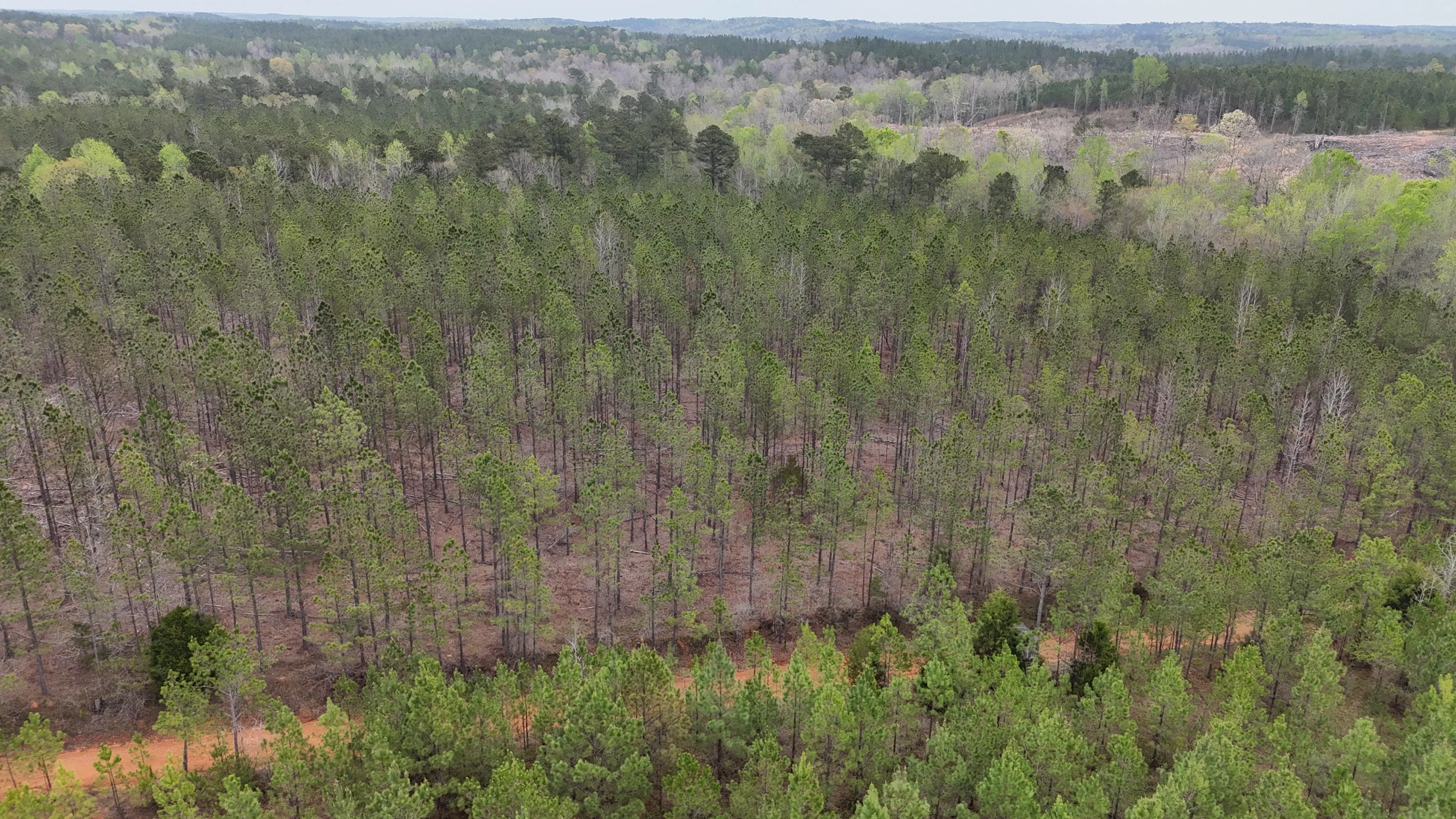 Chilton County, AL Land for Sale 126 Listings LandWatch