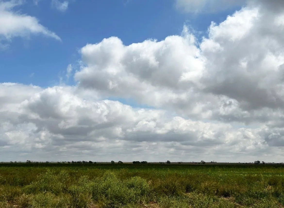 Lamb County, TX Farms and Ranches for Sale 5 Listings LandWatch