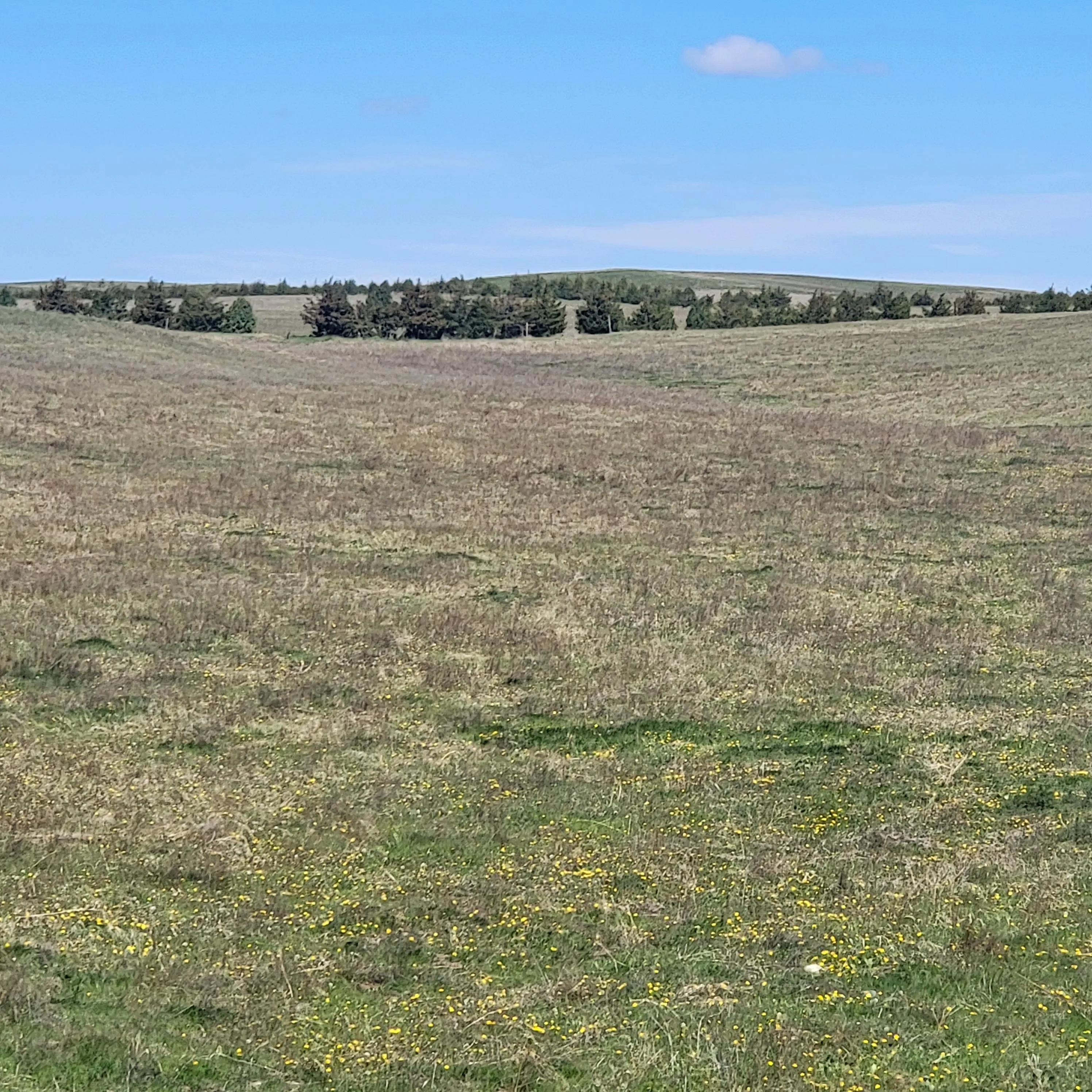 Banner County, NE Land for Sale 8 Listings LandWatch