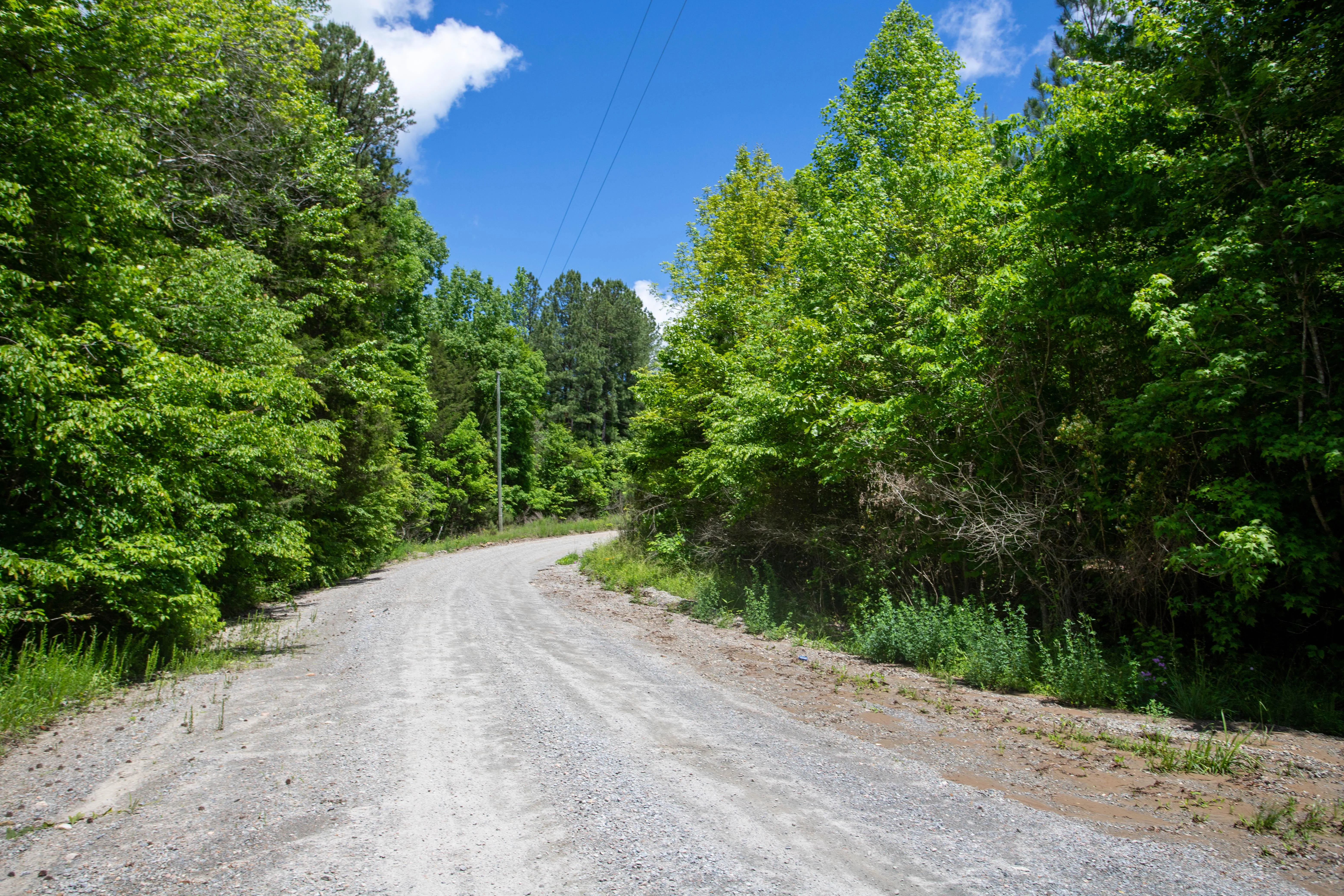 Lunenburg County, VA Land for Sale, Land for Sale in Lunenburg