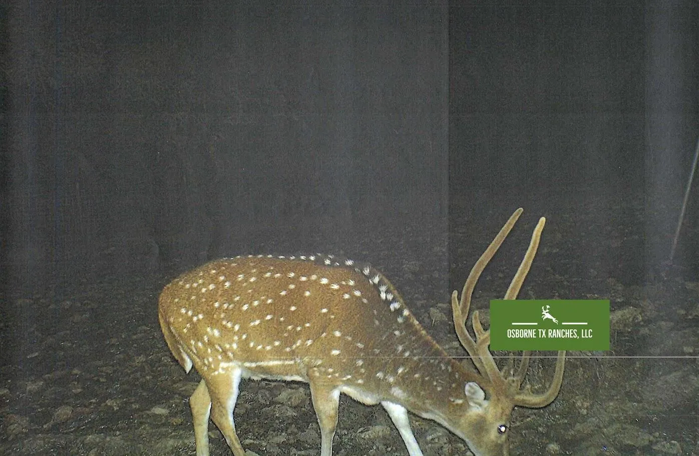 Texas Houses for Sale with Owner Financing 522 Listings LandWatch