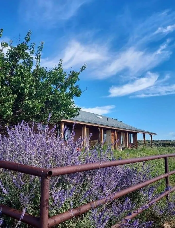 Page 2 New Mexico Land for Sale 8,234 Listings LandWatch