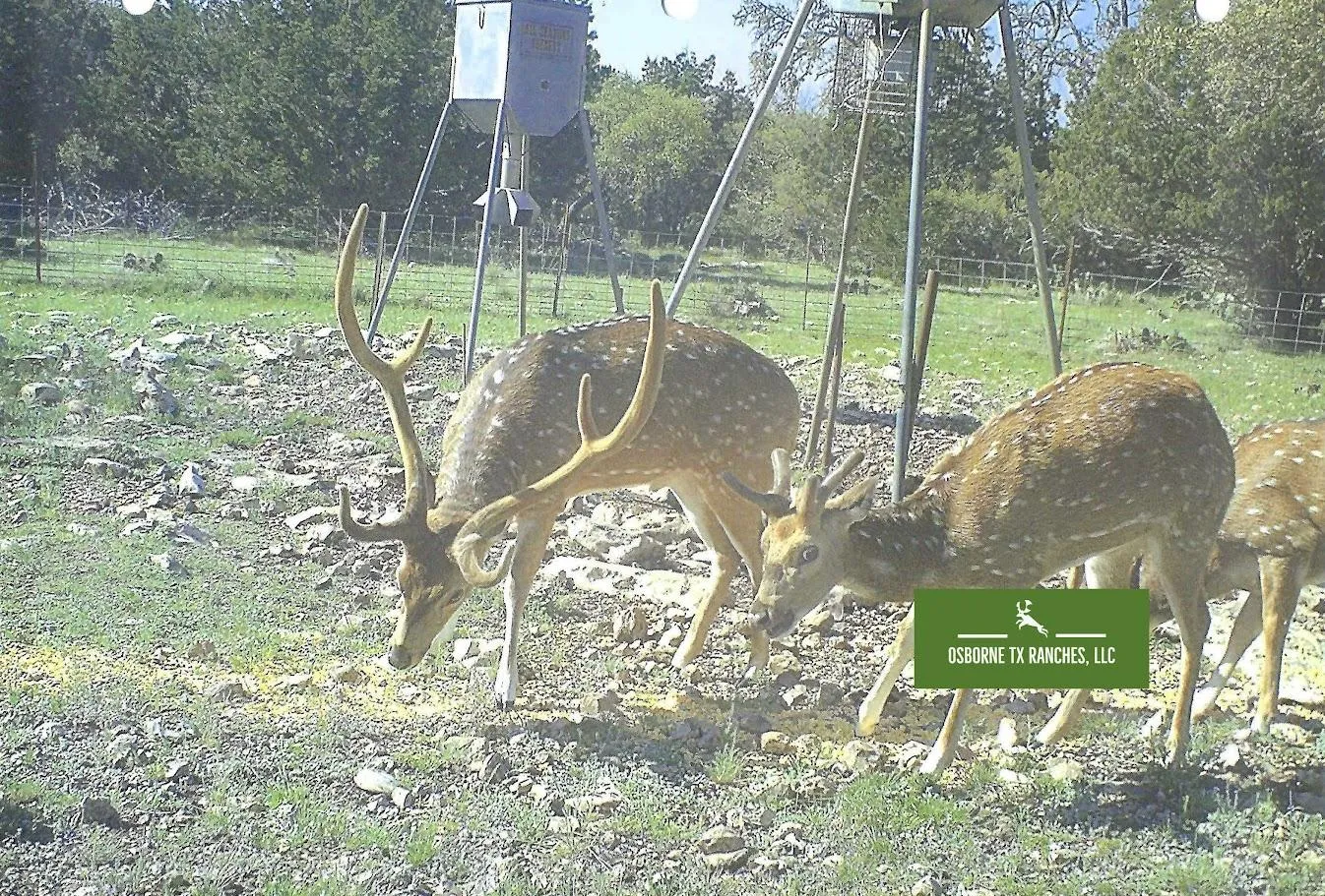 Texas Owner Financing Land for Sale between 11 and 50 Acres 607