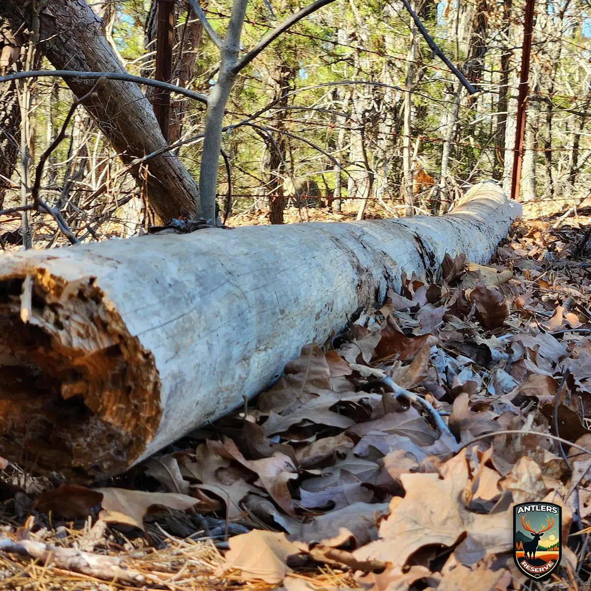 Kiamichi Country Region, OK Owner Financing Land for Sale 144 Listings LandWatch