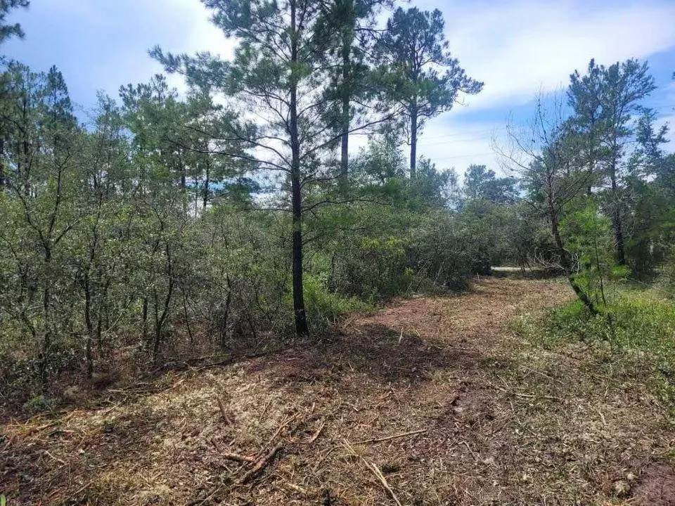 Walton County, FL Owner Financing Land for Sale 40 Listings LandWatch