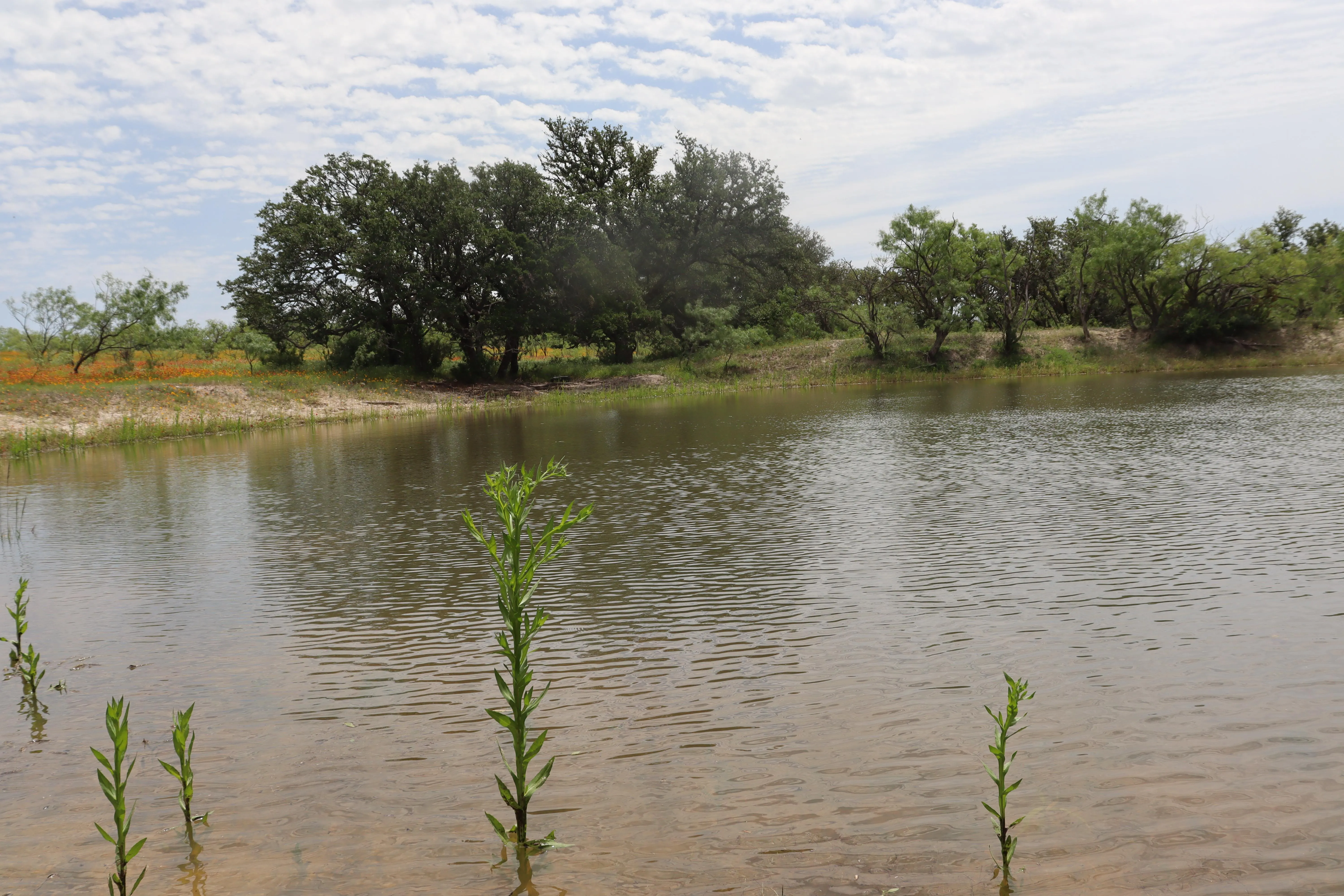 Zephyr, TX Land for Sale 16 Listings LandWatch