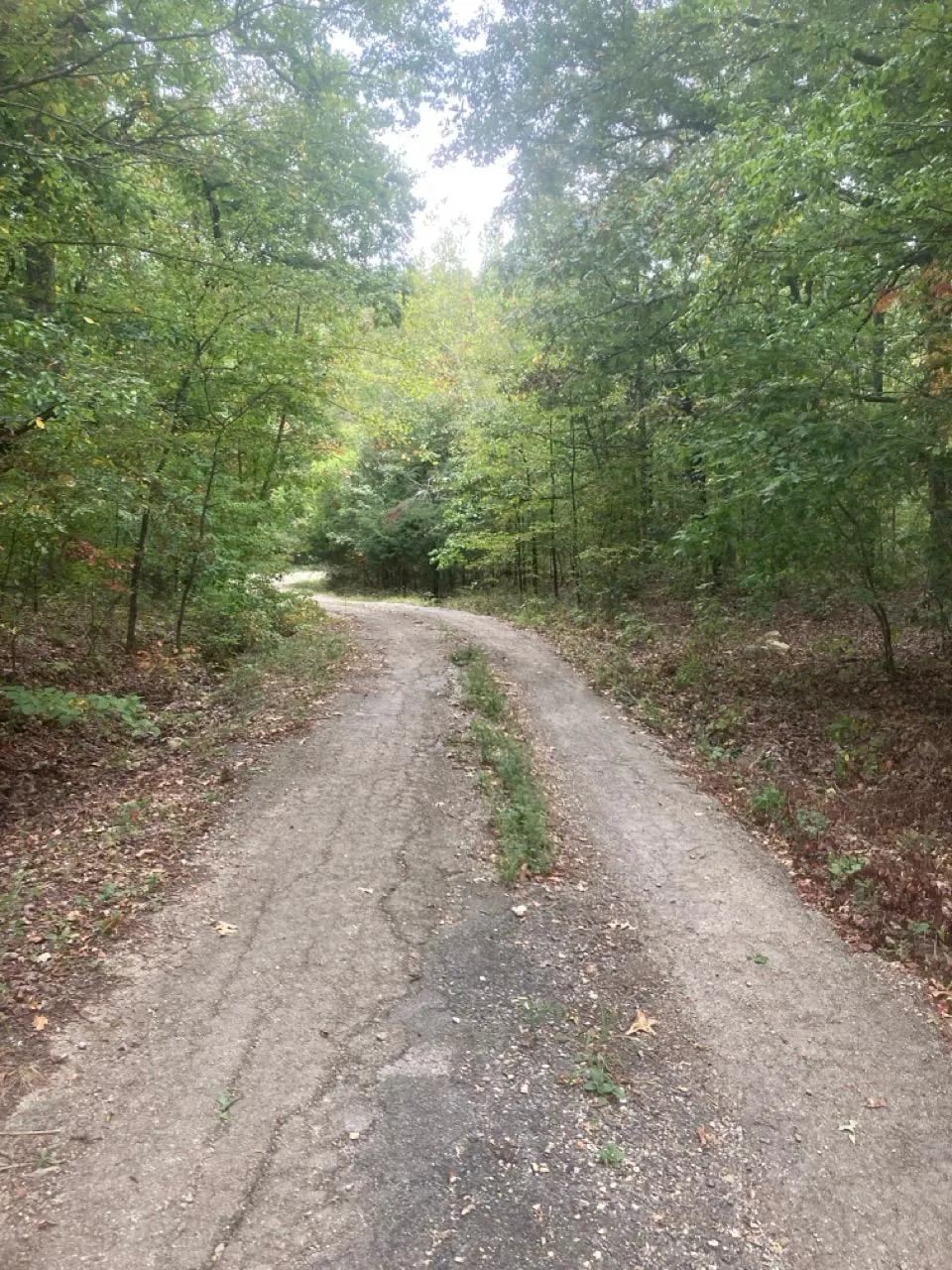 Ozarks Region, AR Land for Sale up to 50K 2,159 Listings LandWatch