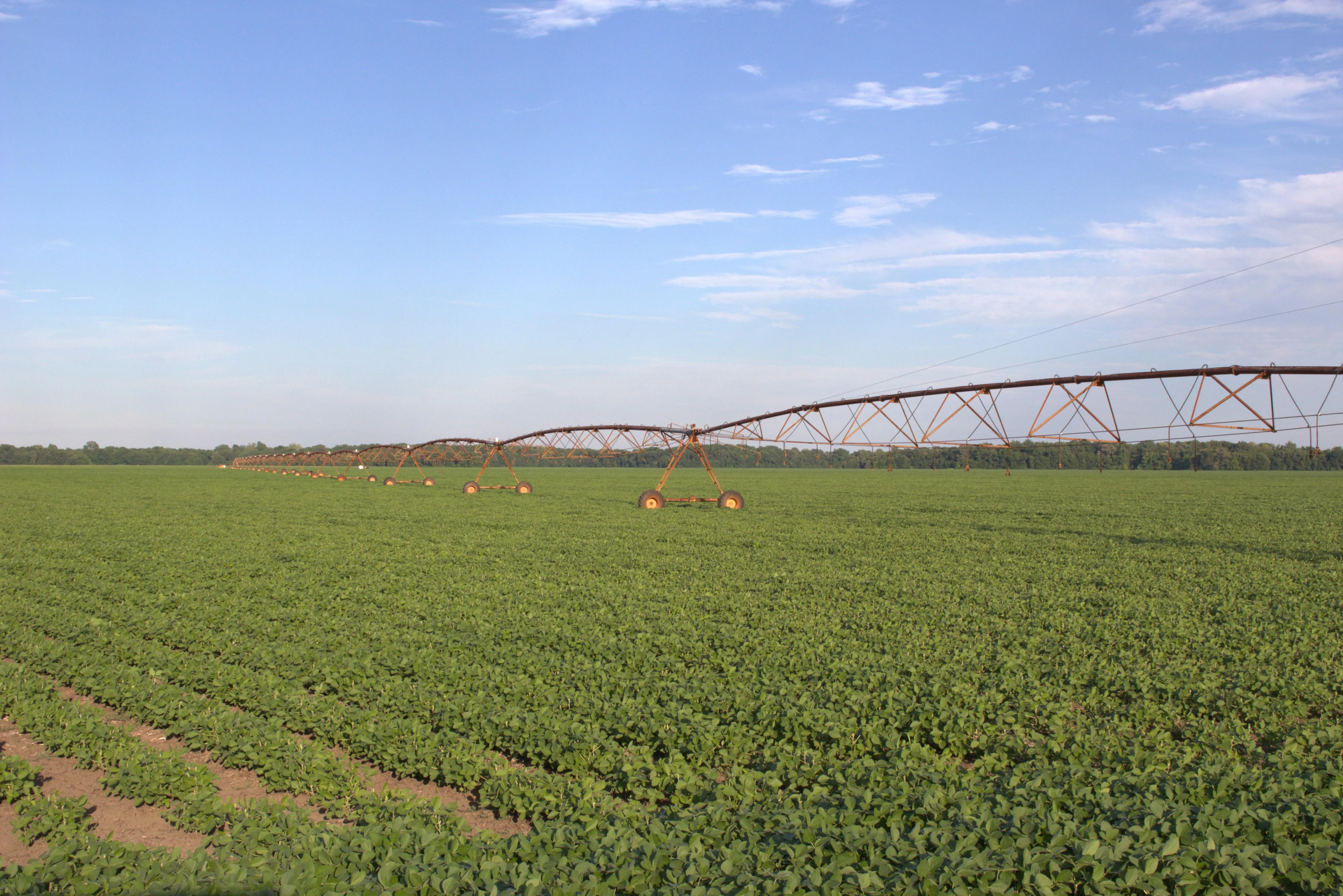 Bolivar County, MS Land for Sale 23 Listings LandWatch