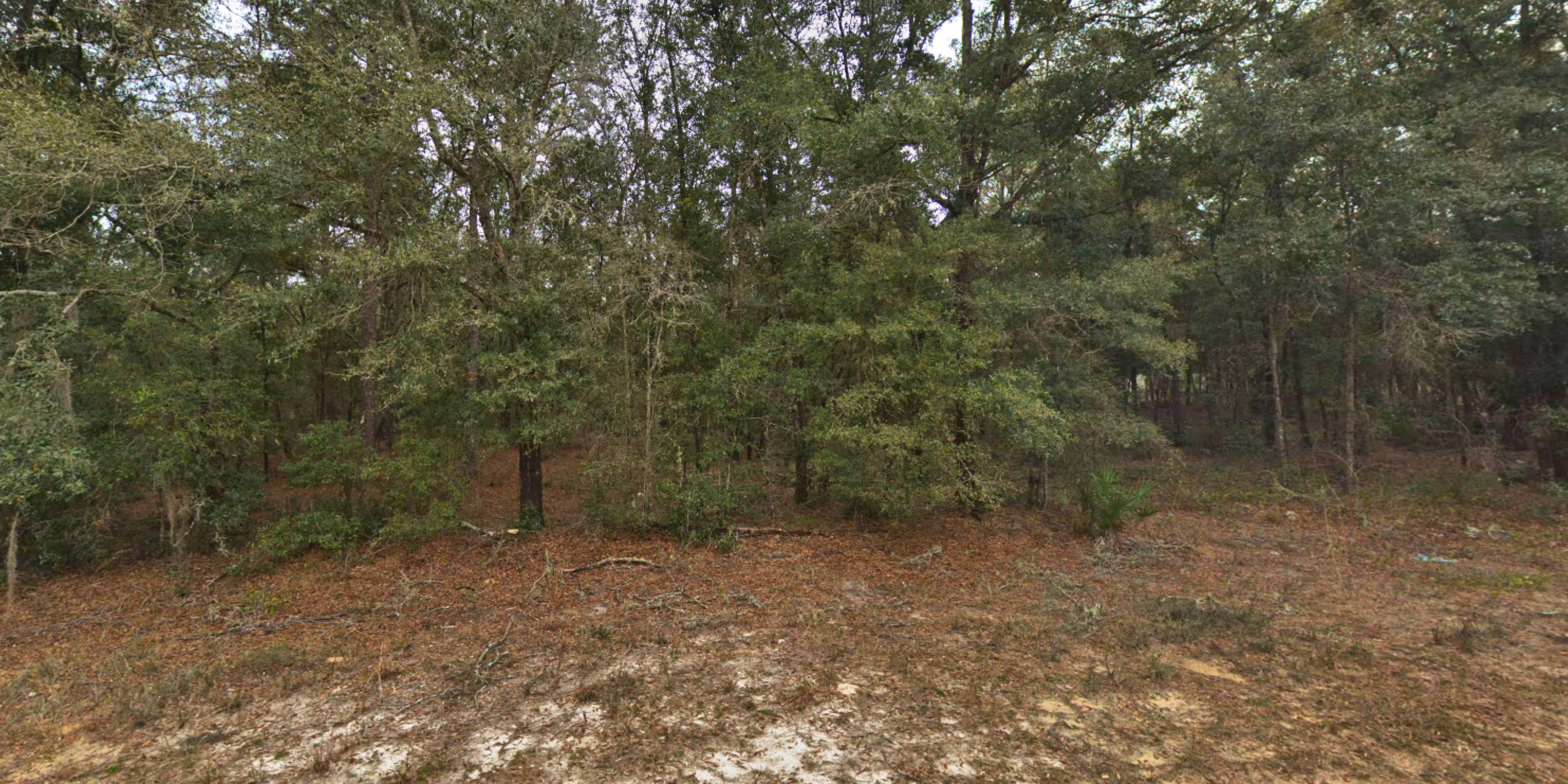 Florida Conservation Land for Sale 80 Listings LandWatch
