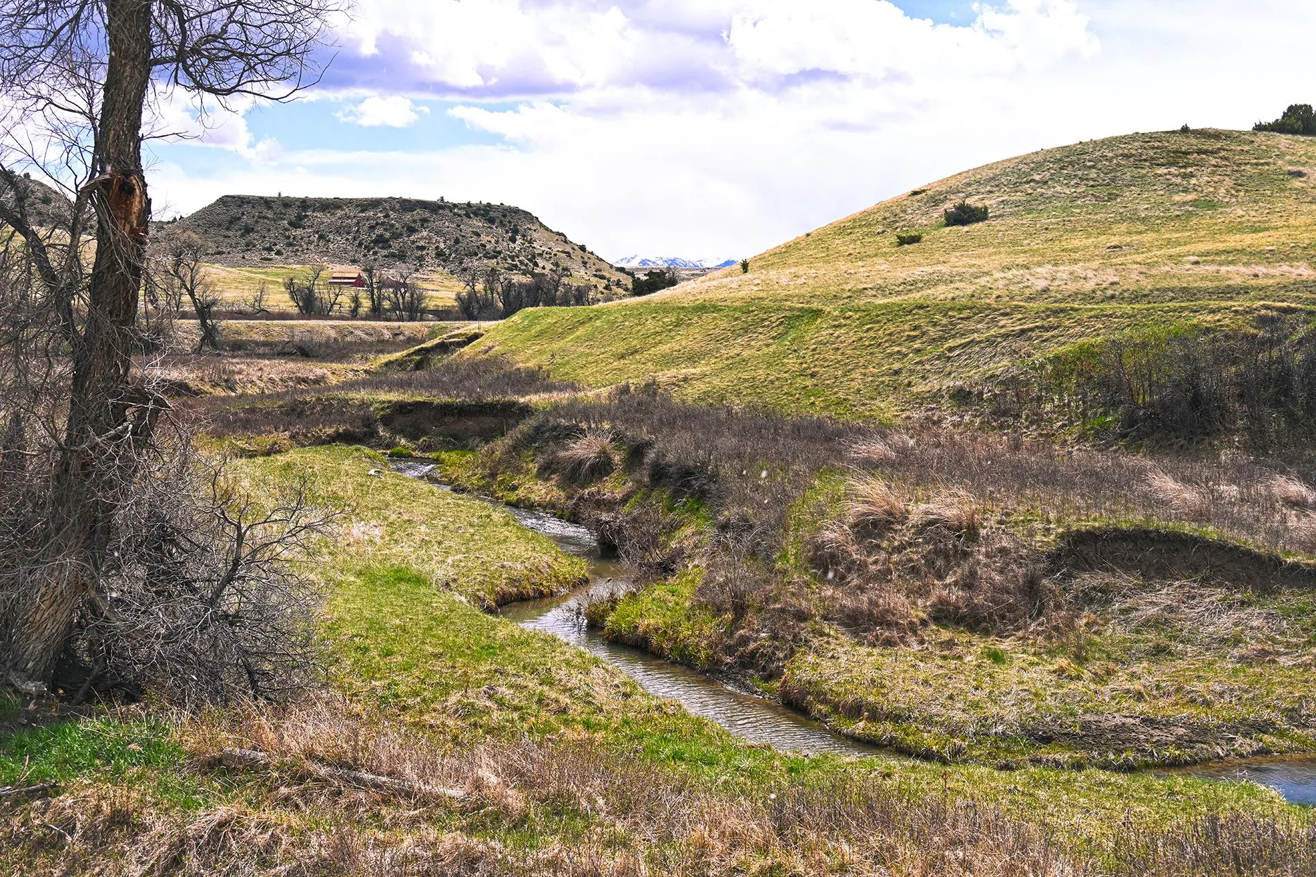 Montana Undeveloped Land for Sale 2,620 Listings LandWatch