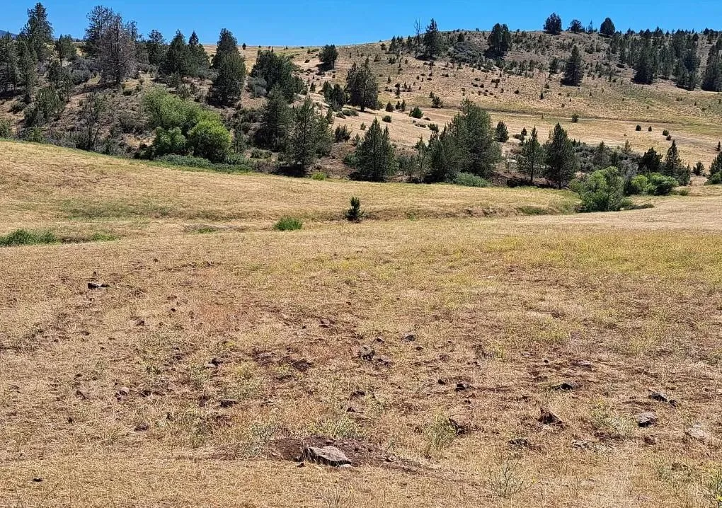 Siskiyou County, CA Land for Sale 602 Listings LandWatch
