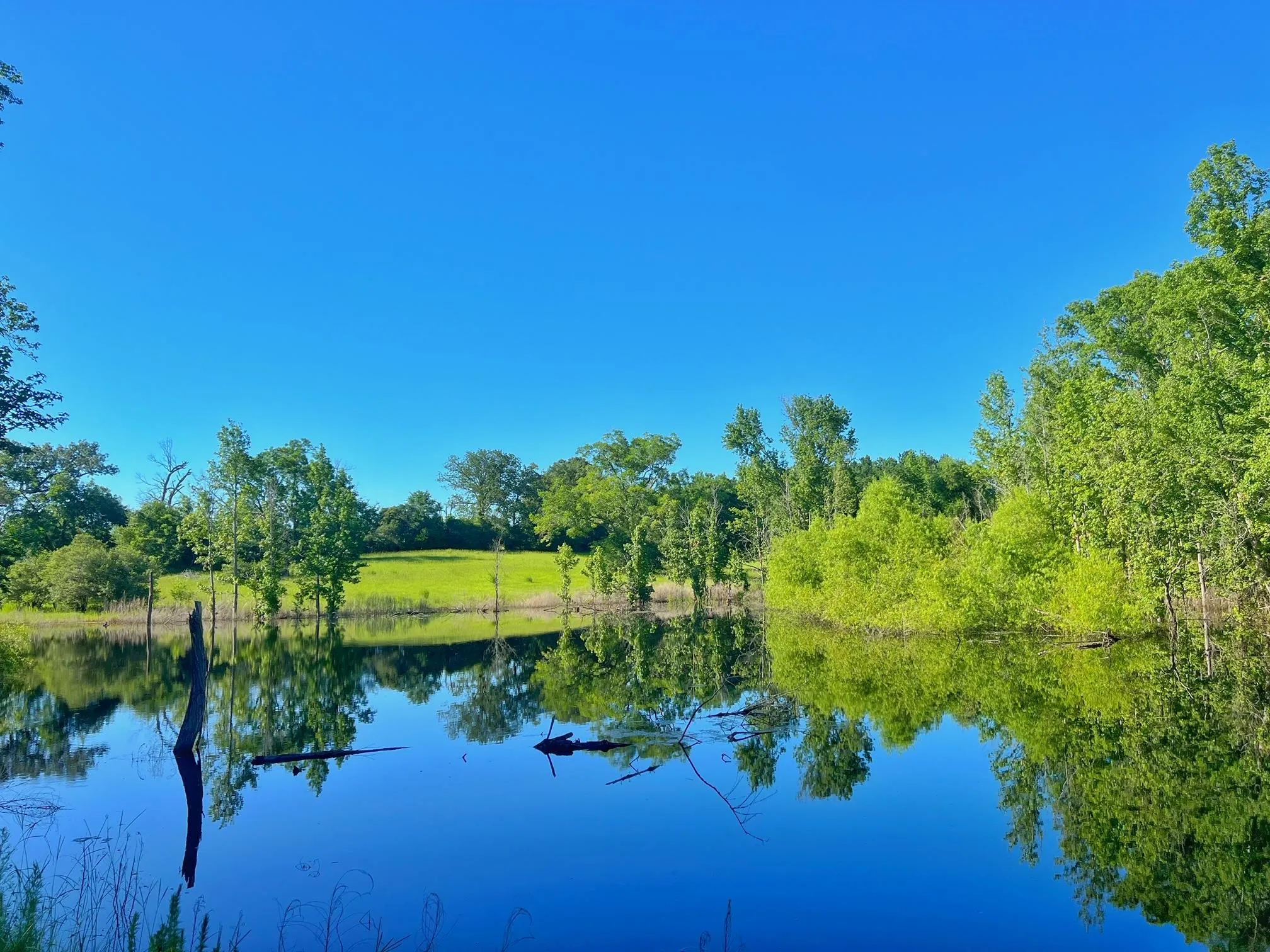 Leon County, TX Land for Sale 235 Listings LandWatch