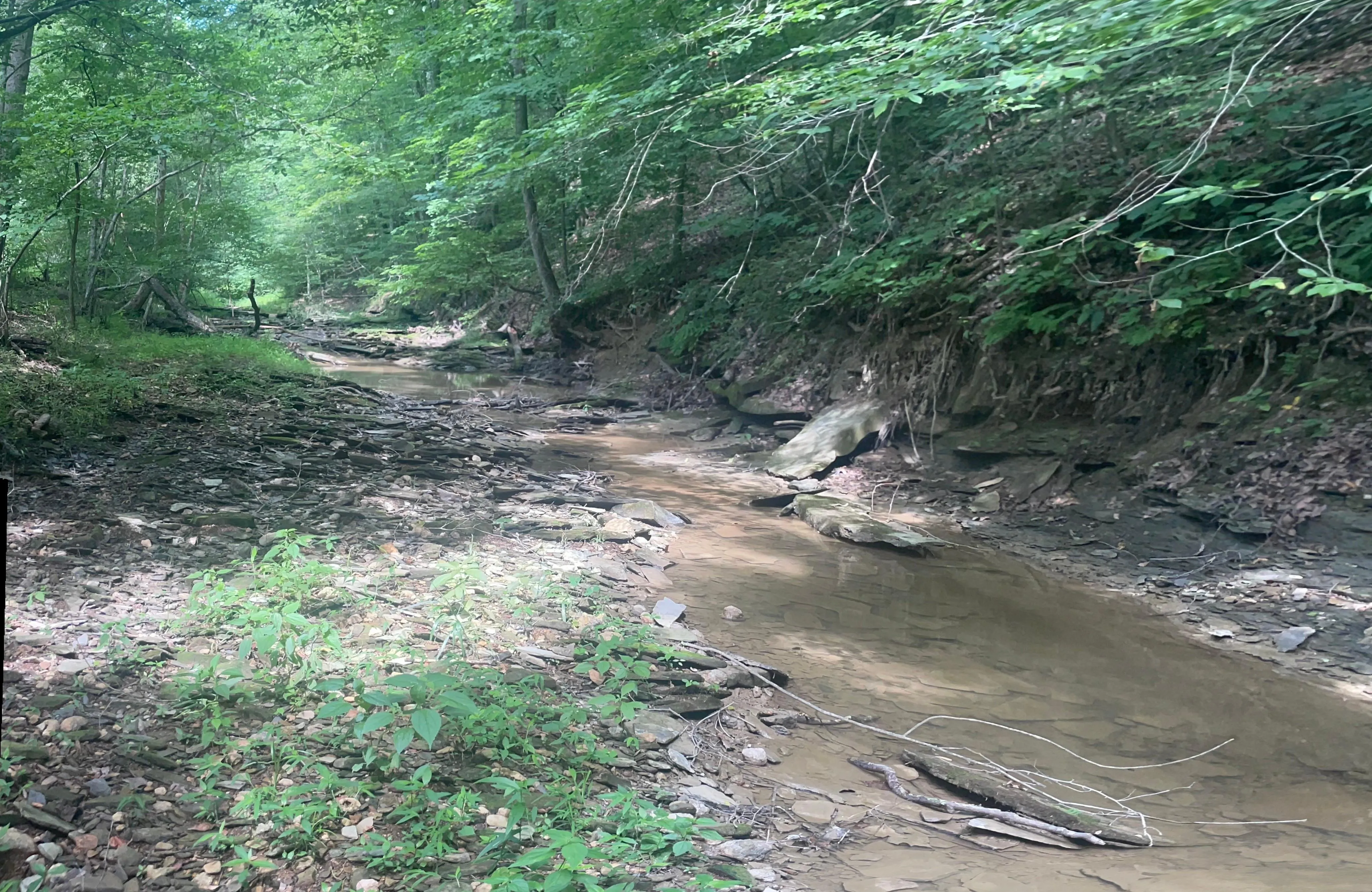 Indiana Camping Land for Sale 106 Listings LandWatch