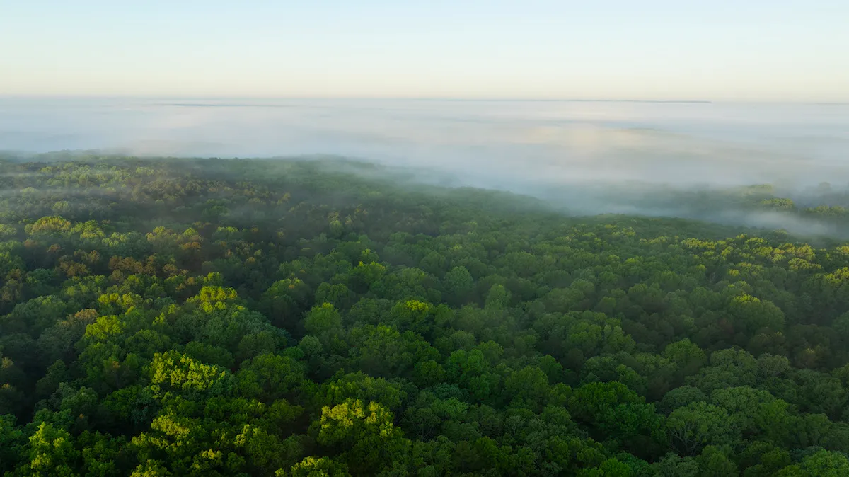 Squires, MO Land for Sale 12 Listings LandWatch