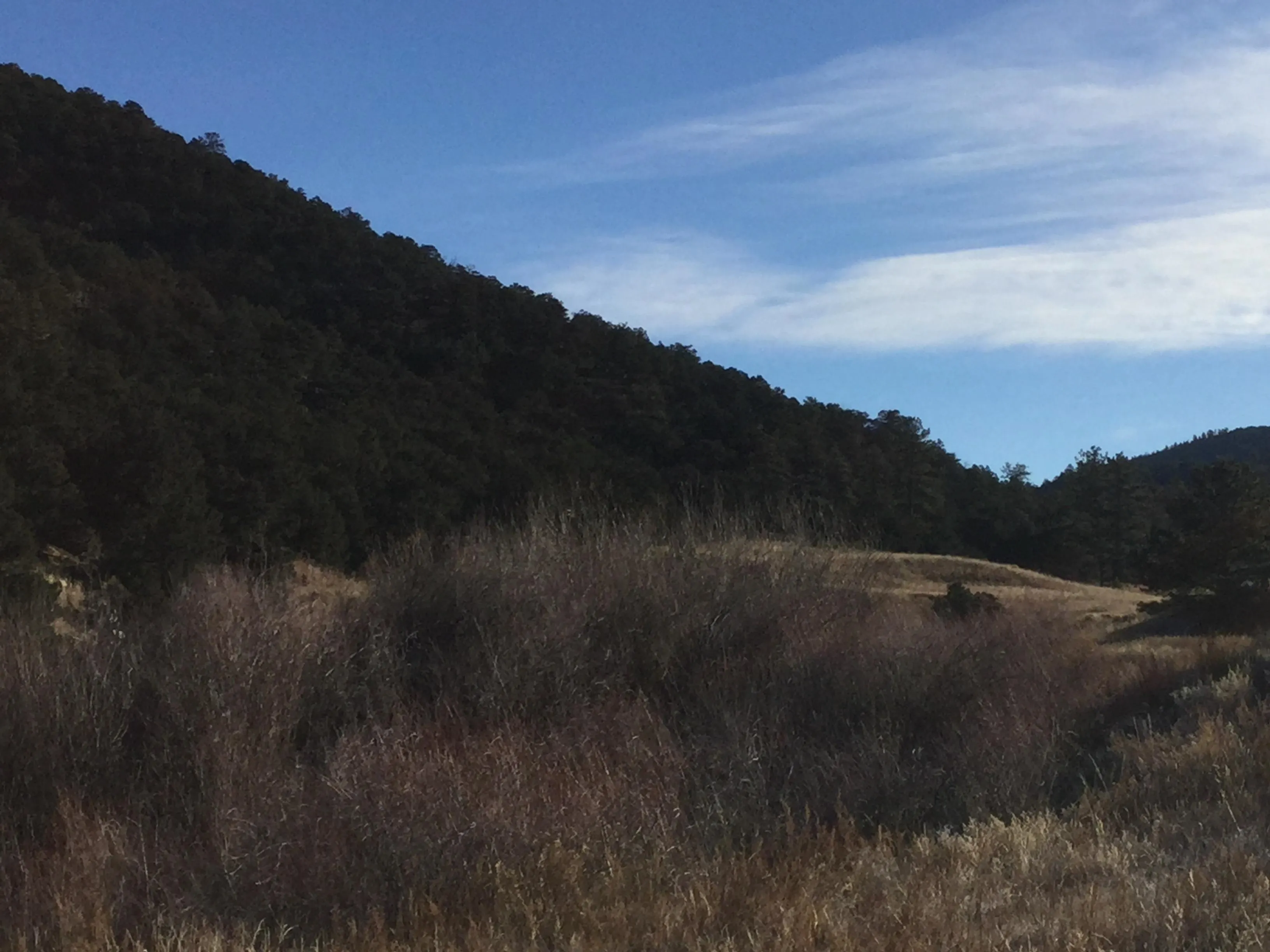 Colorado Undeveloped Land for Sale between 51 and 100 Acres 111