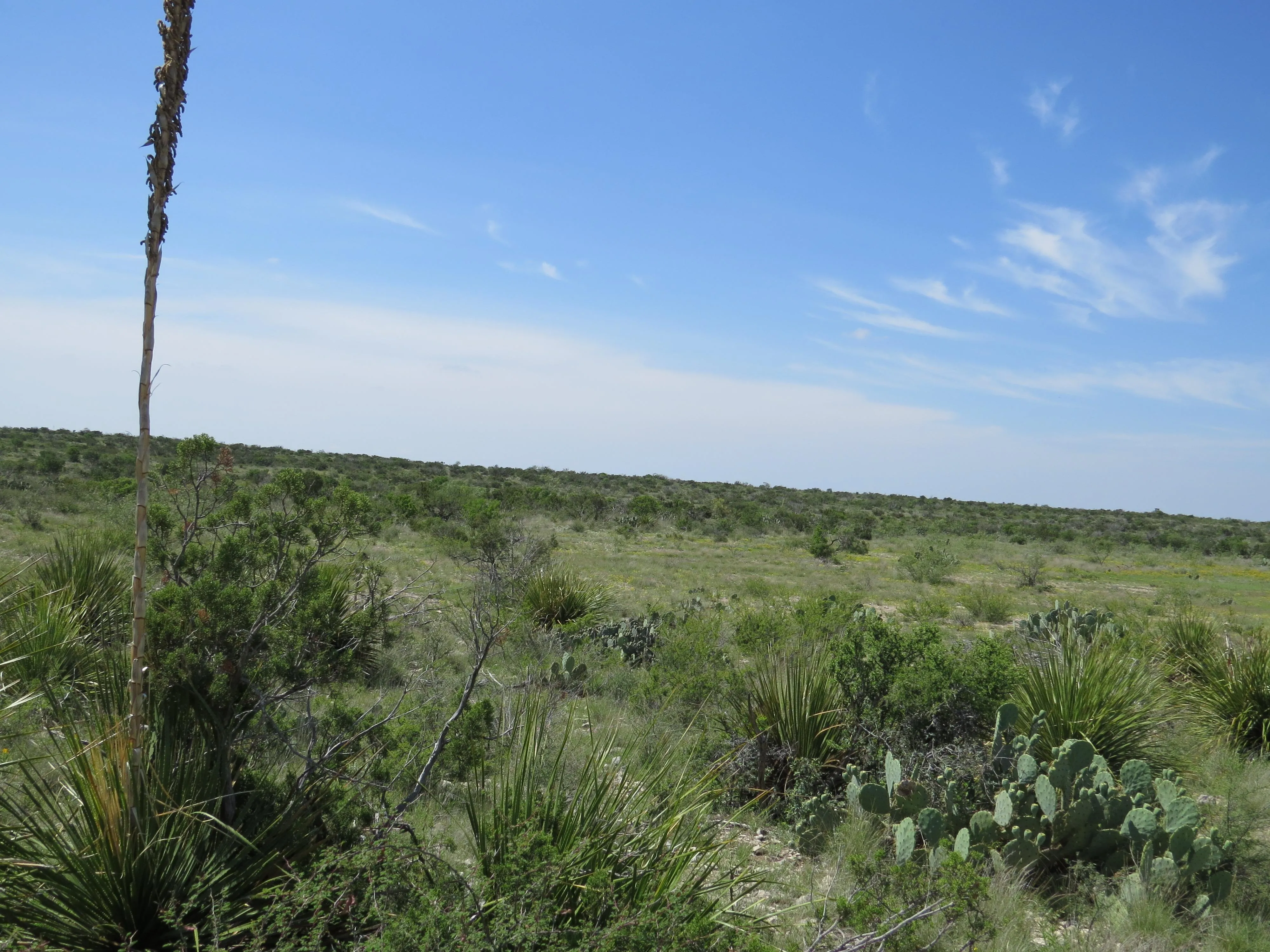 Terrell County, TX Land for Sale 47 Listings LandWatch